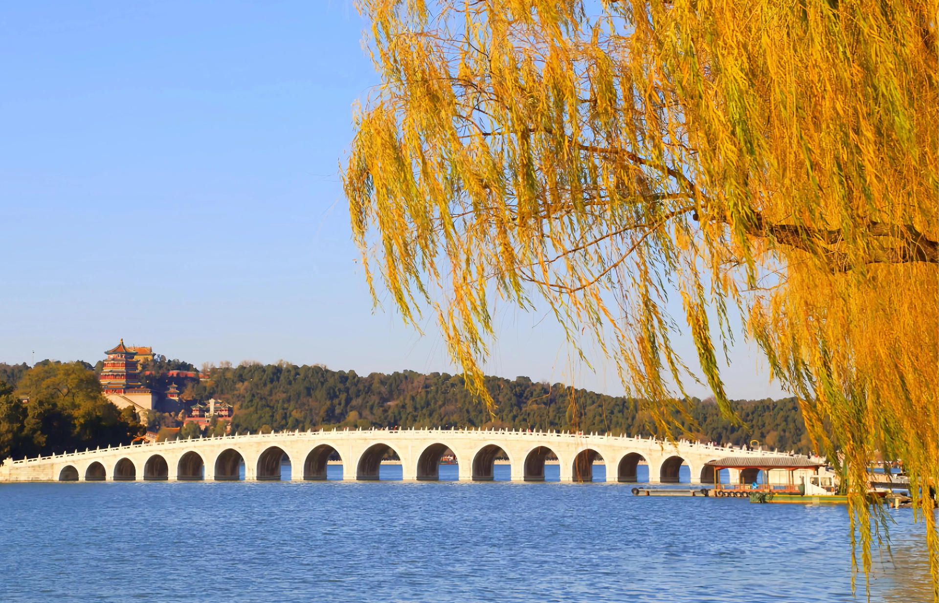 Forbidden City + Summer Palace Guided Day Tour | In-depth commentary - Thumbnail 12