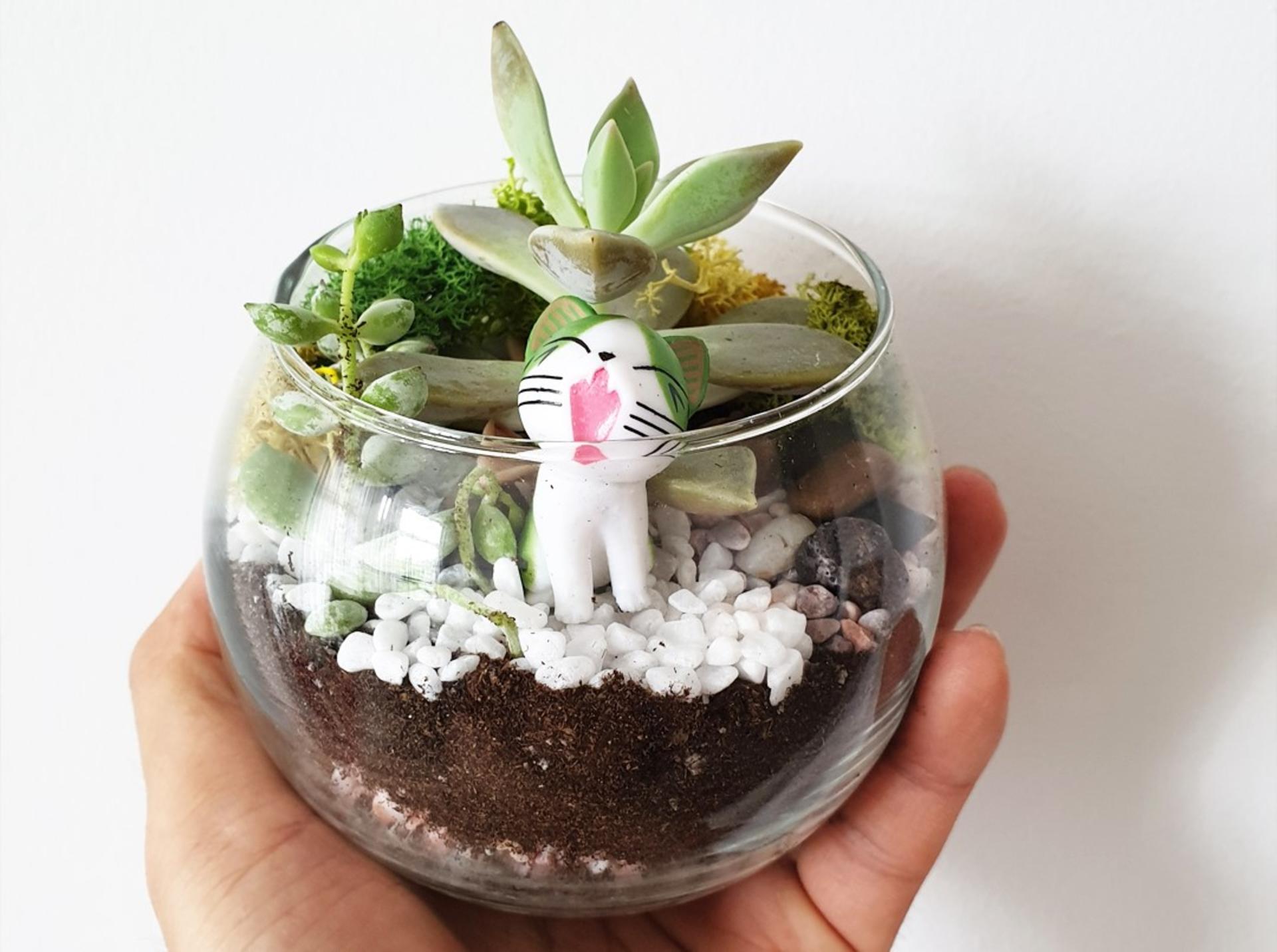 Terrarium and Airplant Greenwall Workshop in Funan & PLQ - Image 1