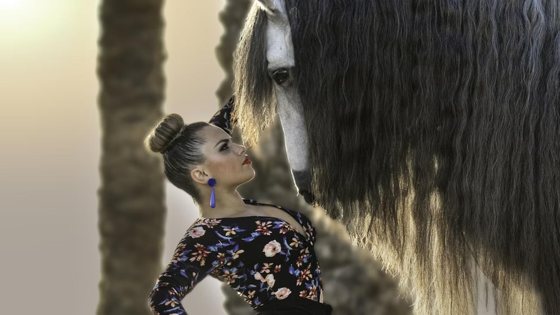 Andalusian horse and Flamenco show in Torremolinos - Thumbnail 5