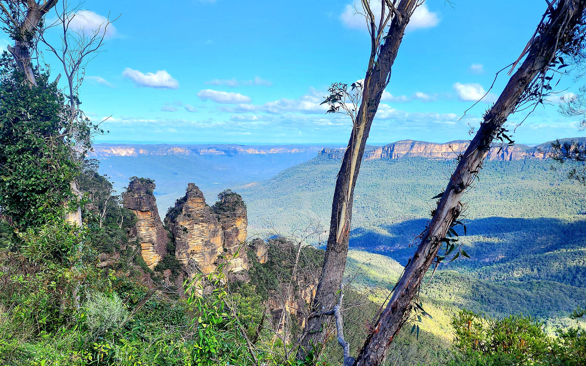 Sydney Blue Mountains Full-Day Small Group Waterfall Tour - Thumbnail 4