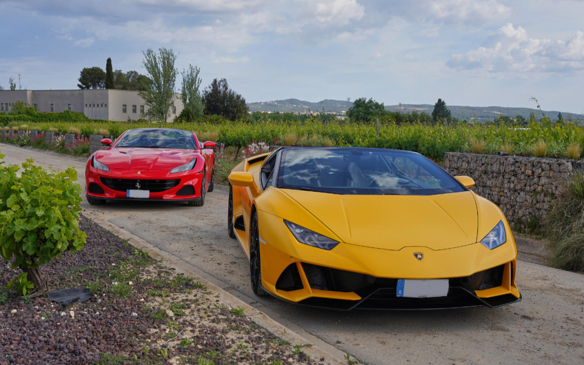 Supercar driving experience to Penedes vineyards - Thumbnail 5
