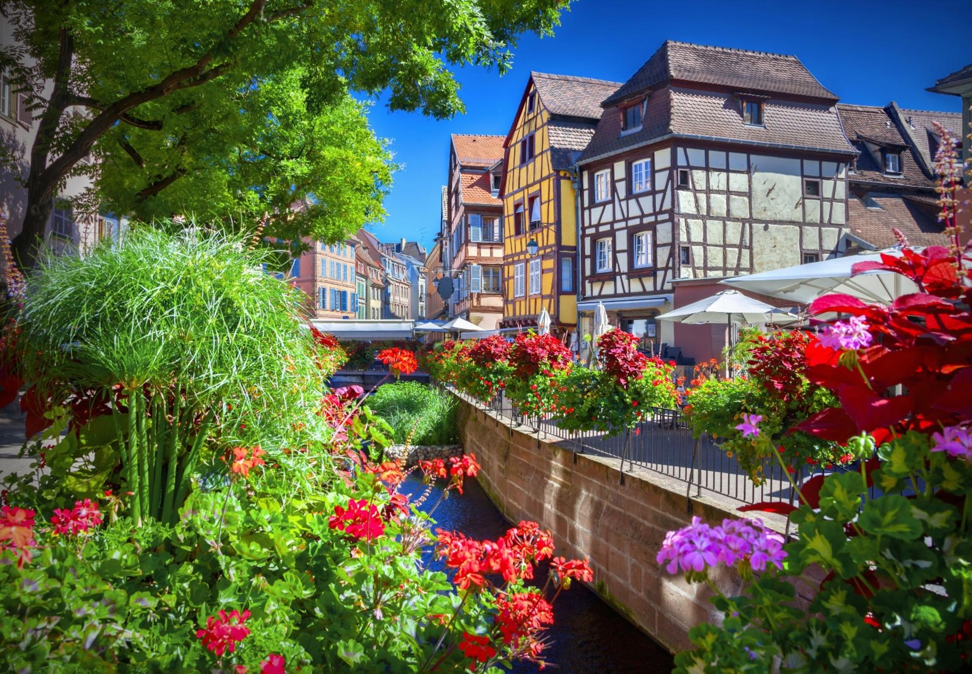Pearls of Alsace Whole Day Tour from Strasbourg - Image 1