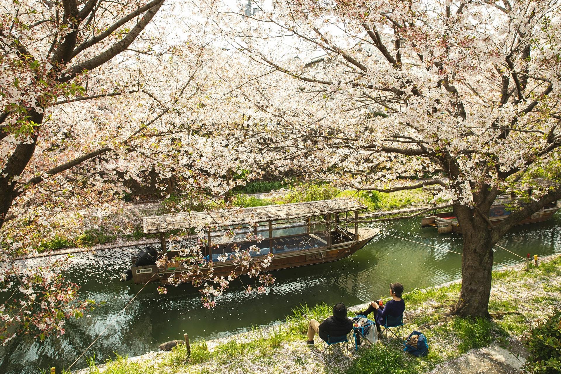 Fushimi Kyoto Tour with Sake Tasting & Canal Boat Ride - Thumbnail 3