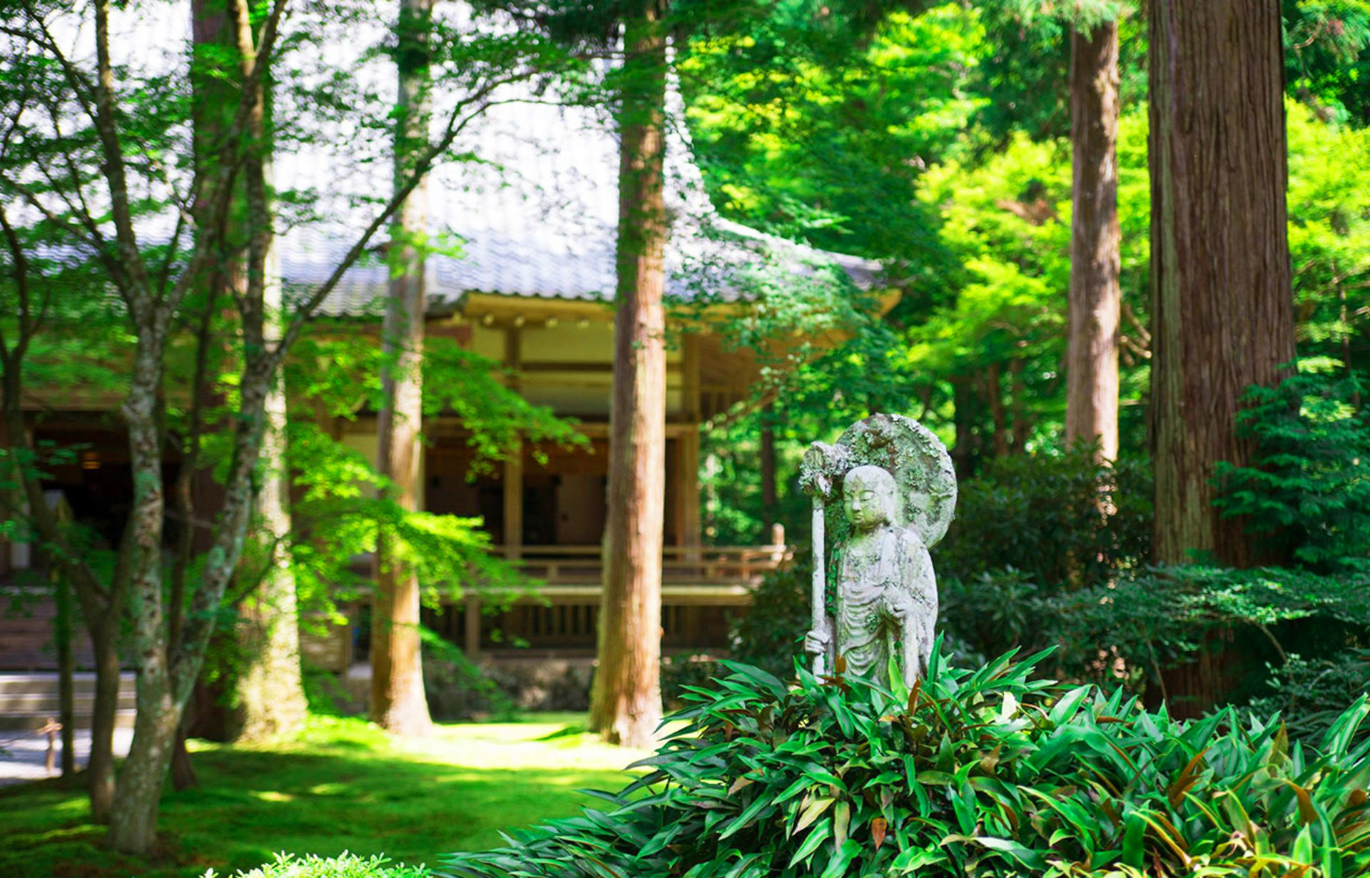 Kyoto Sanzen-in, Kifune Shrine, and Arashiyama Small Group Day Tour (Driver-Guide Service) - Thumbnail 5