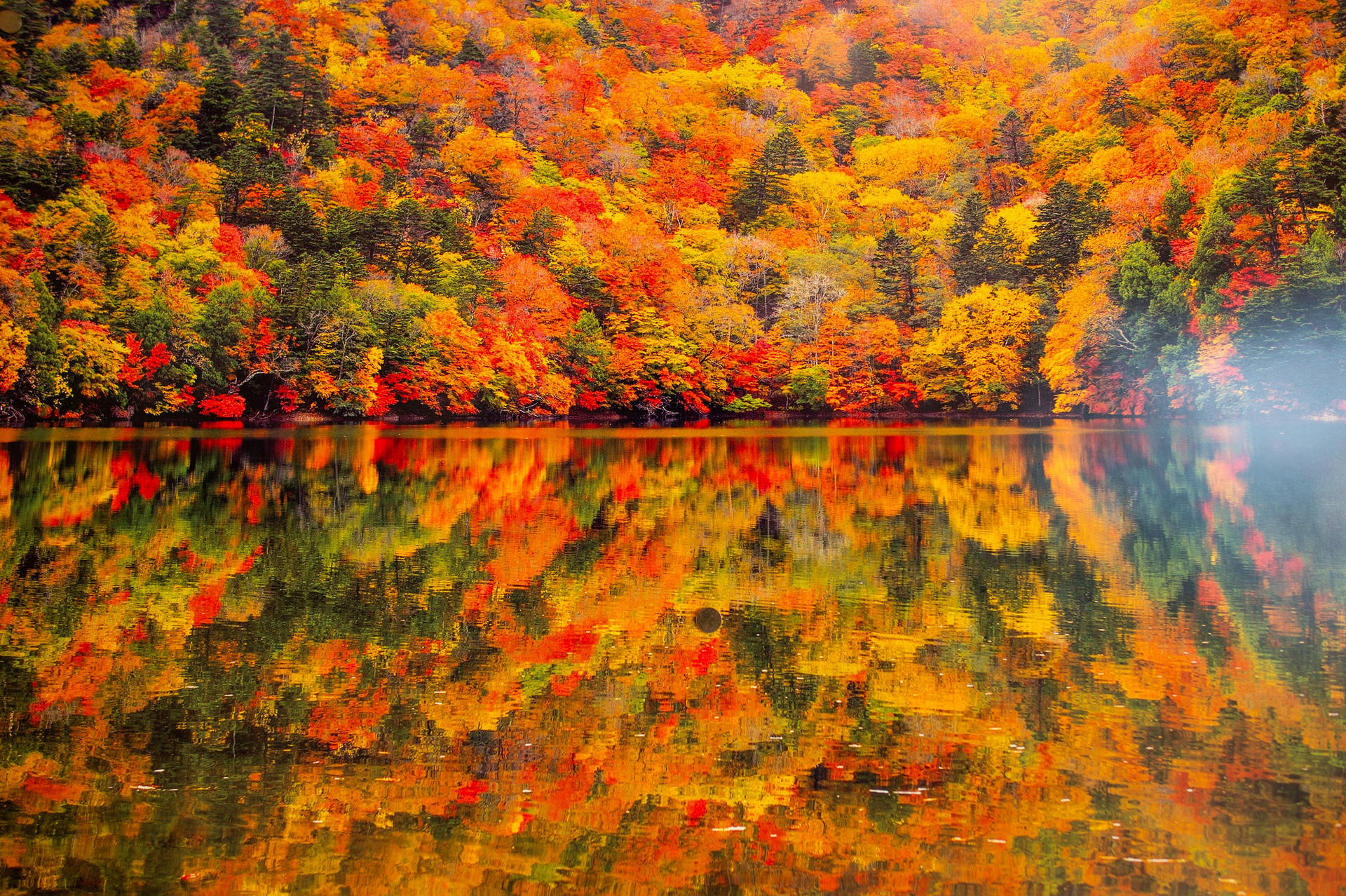Nikko Autumn Special: Irohazaka, Kegon Falls & Toshogu Day Tour - Thumbnail 6