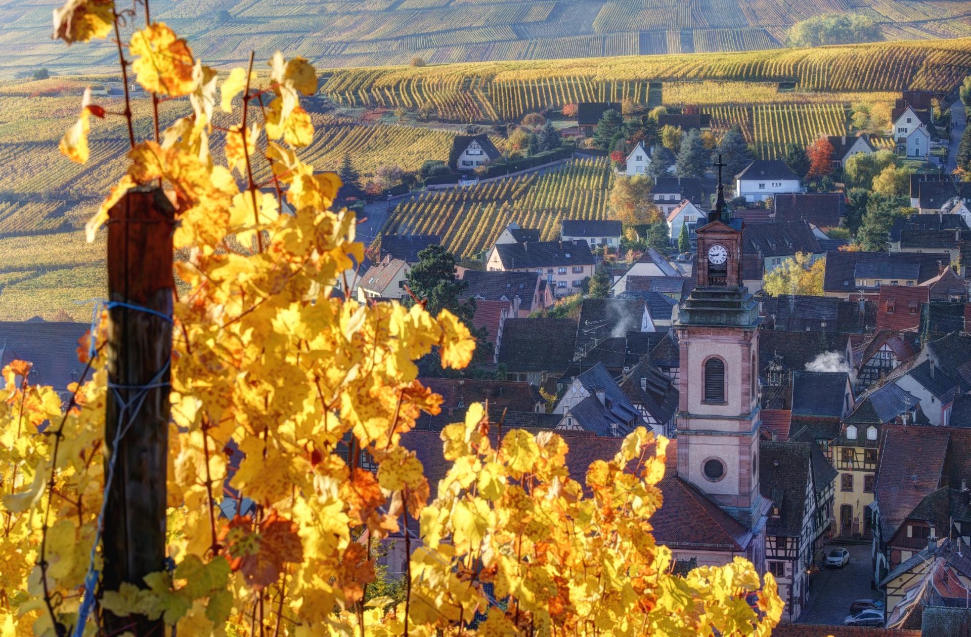 Pearls of Alsace Whole Day Tour from Strasbourg - Thumbnail 5