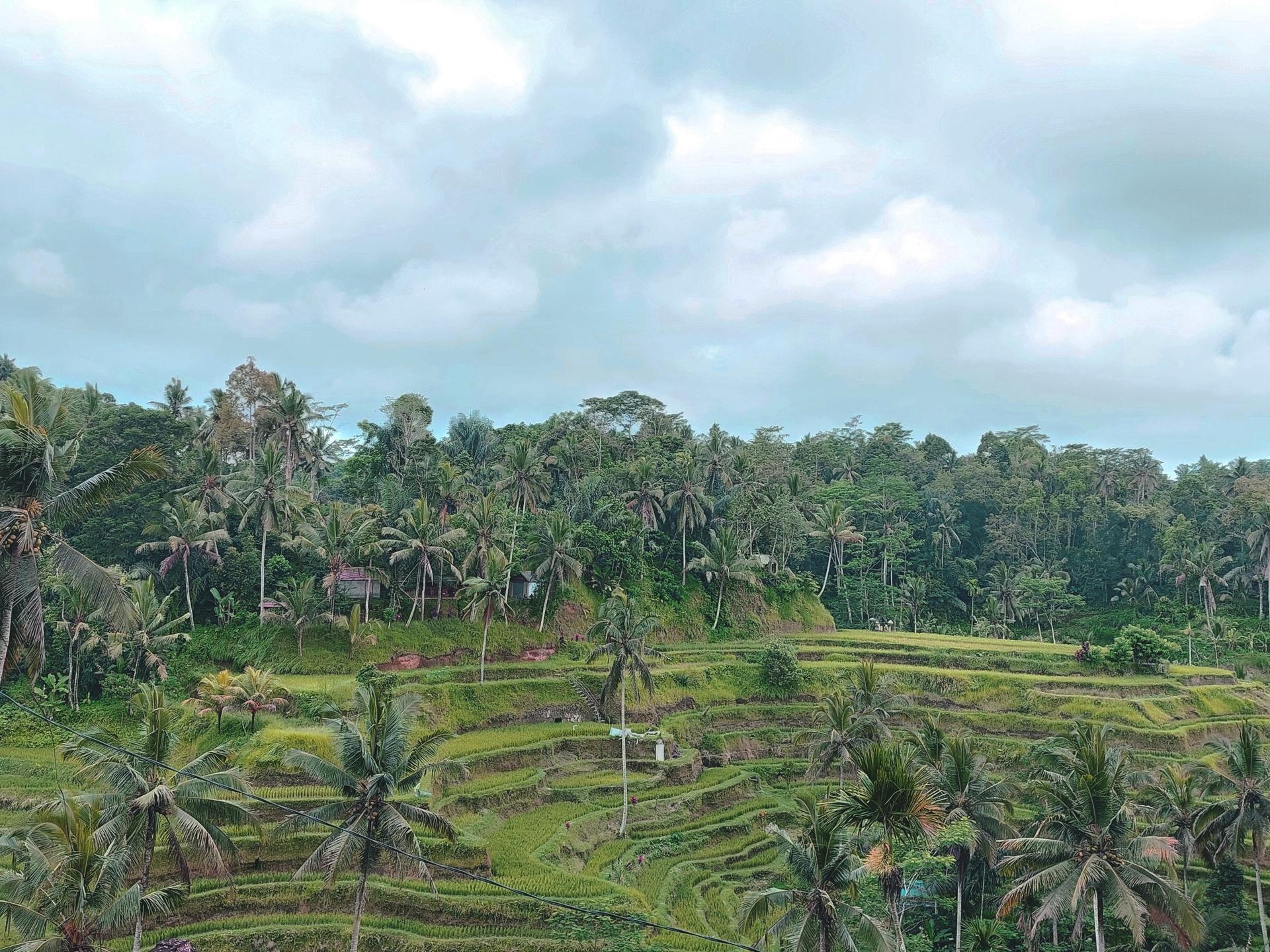 Best of Bali Day Tour for Korean Couple - Thumbnail 3