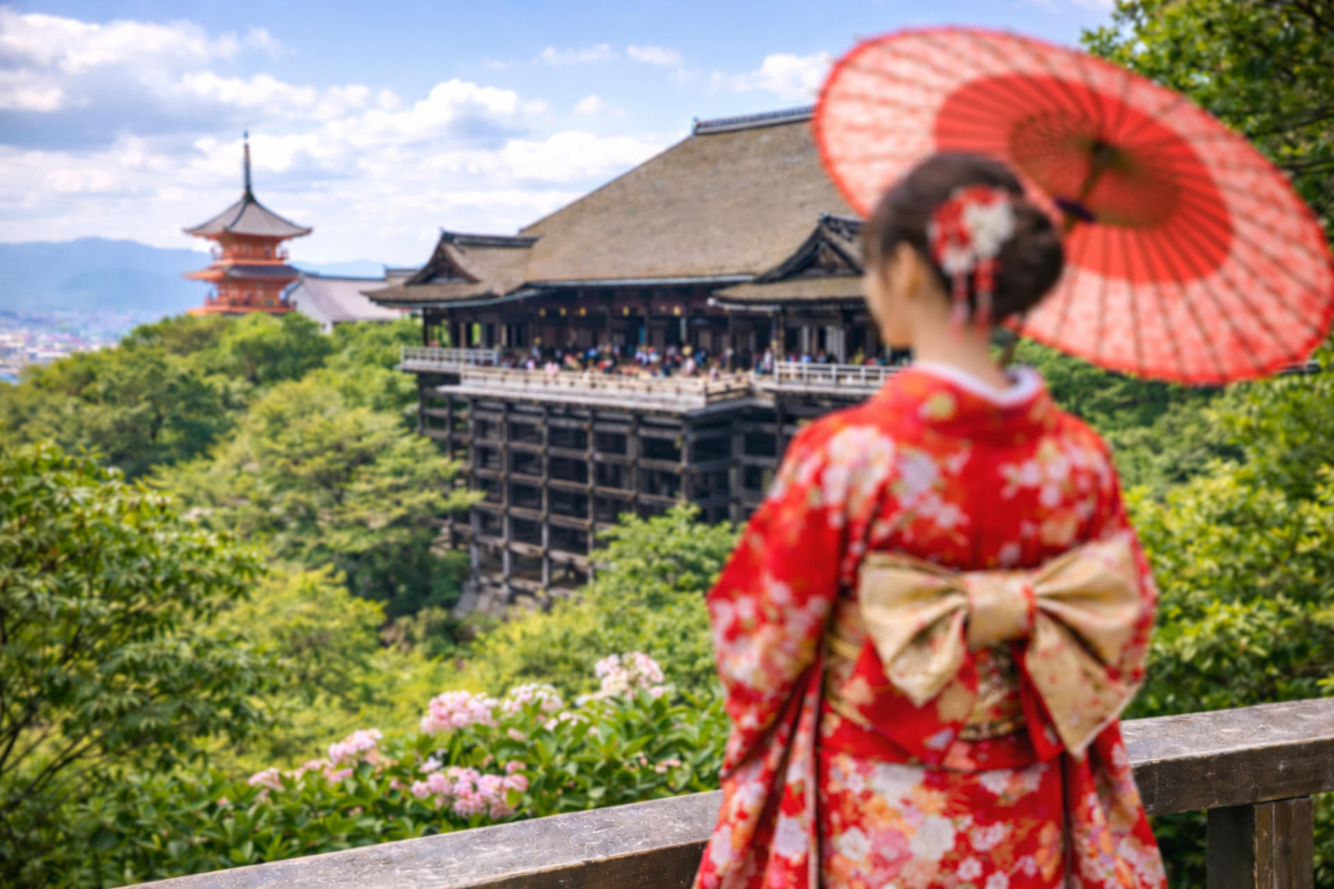 [1 Person Group] Meet adorable deer, stroll through ancient capitals: Kyoto, Nara, Osaka Kansai classic panoramic one-day tour - Image 1