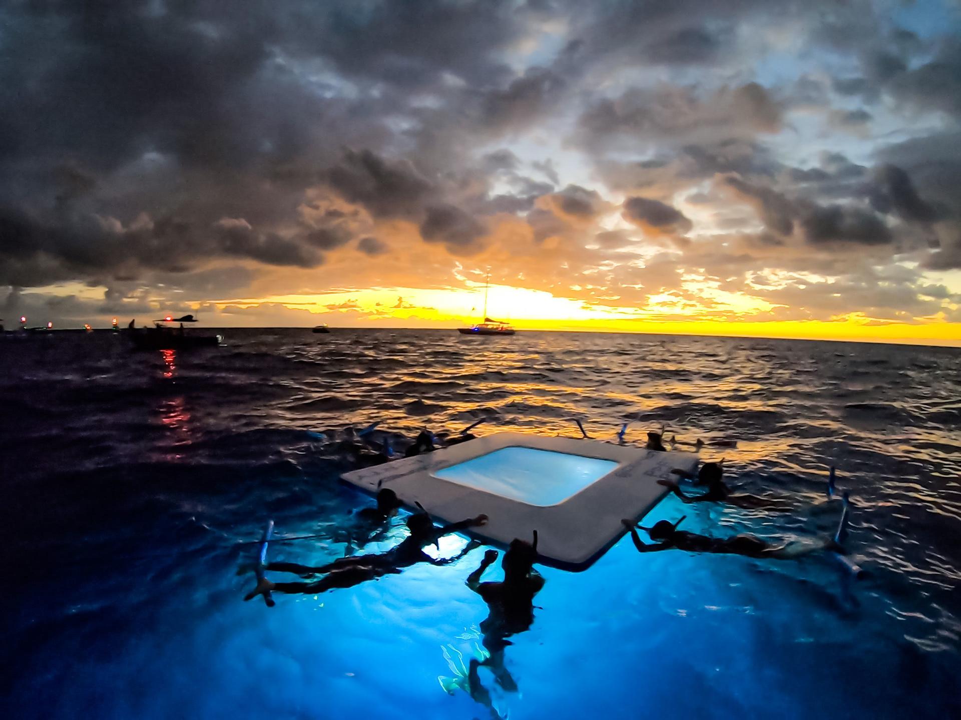 Kona Manta Ray Snorkel Tour with Optional Sunset or Moonlight - Image 1