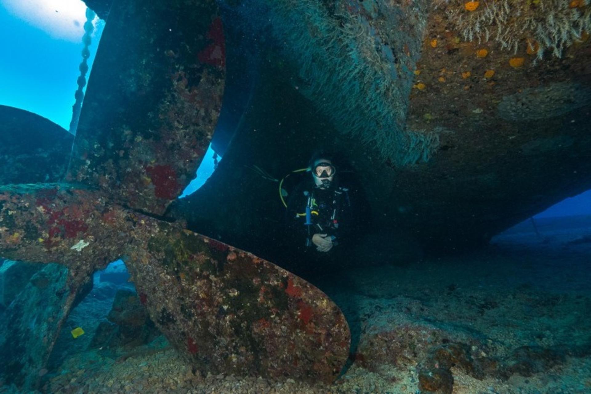 Wreck and Reef Tour in Oahu - Thumbnail 3