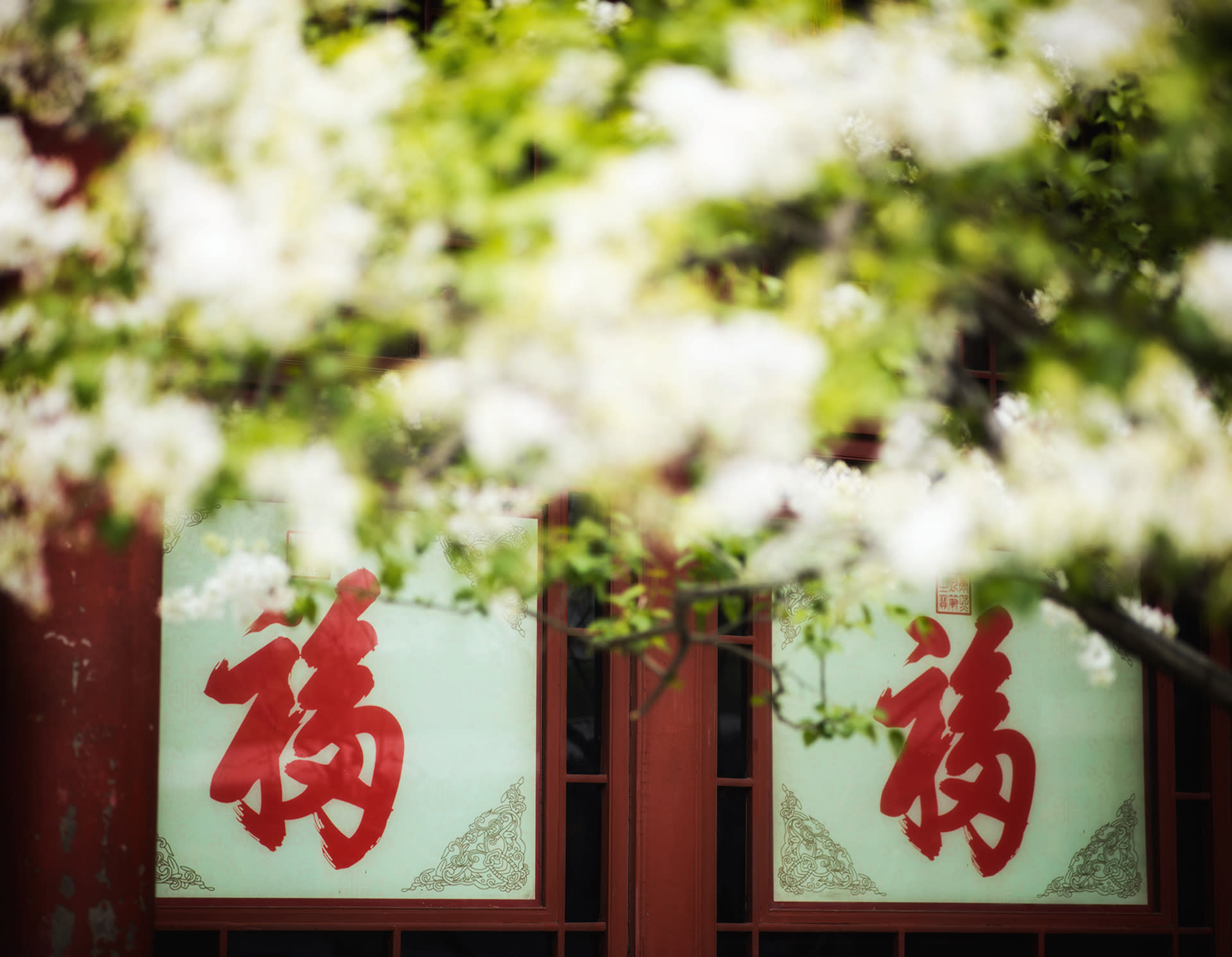 Beijing Rickshaw Experience Tour (Shichahai/Prince Gong's Mansion/Hutong Tour) - Thumbnail 4