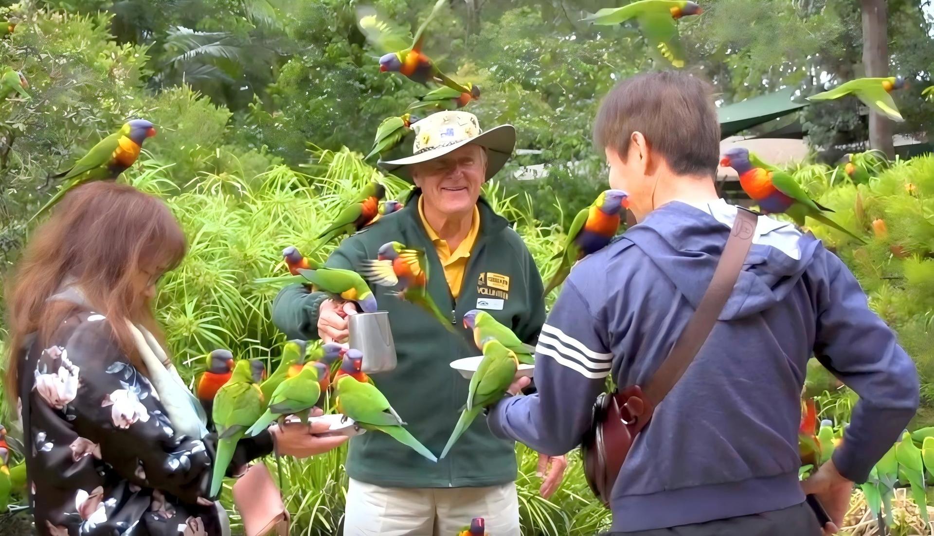 Gold Coast Currumbin Wildlife Sanctuary & Byron Bay Day Tour - Thumbnail 4