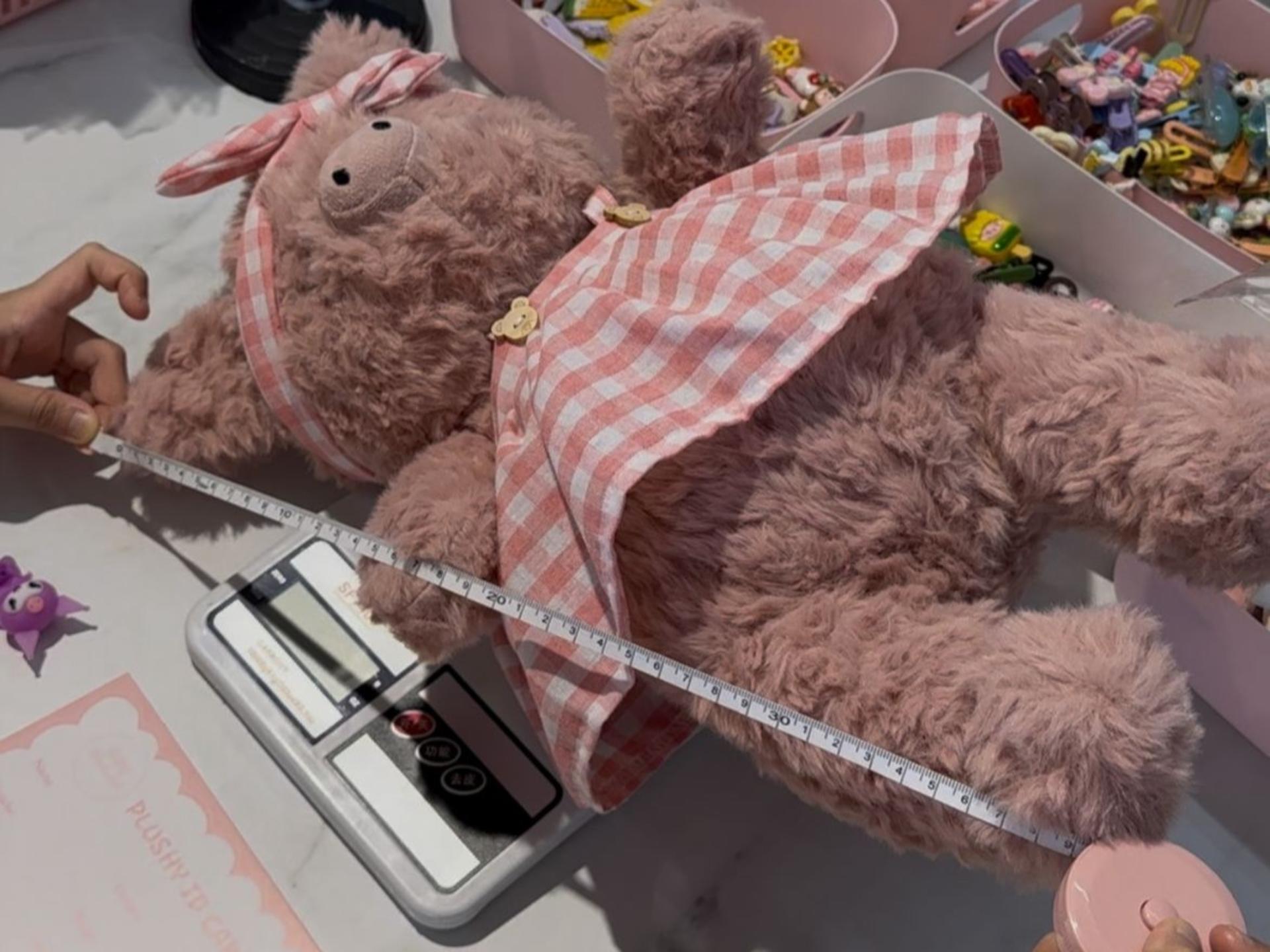 DIY Plushy Doll by Forever Twenty DIY Studio in Johor Bahru - Thumbnail 4