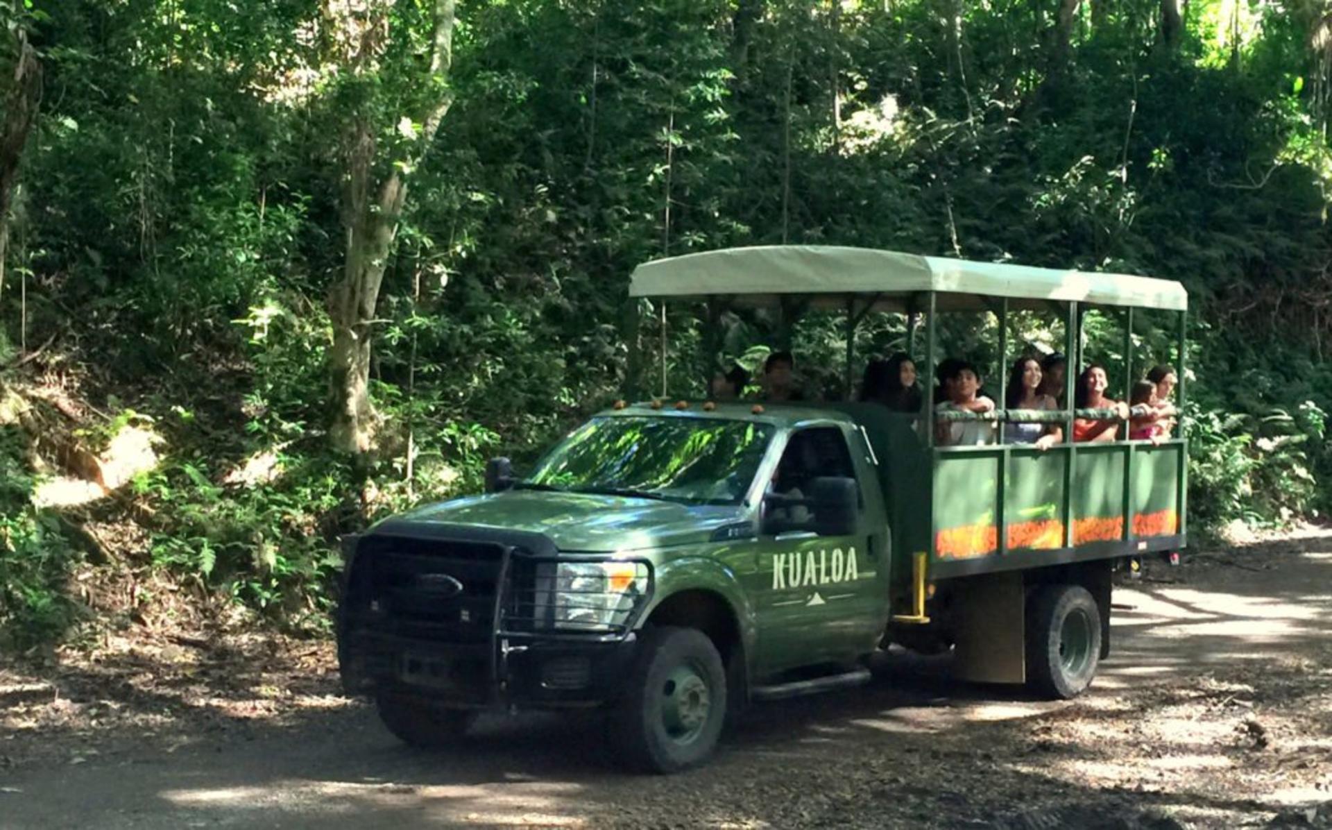 Kaneohe Hakipu u Rainforest Jungle Expedition - Thumbnail 6