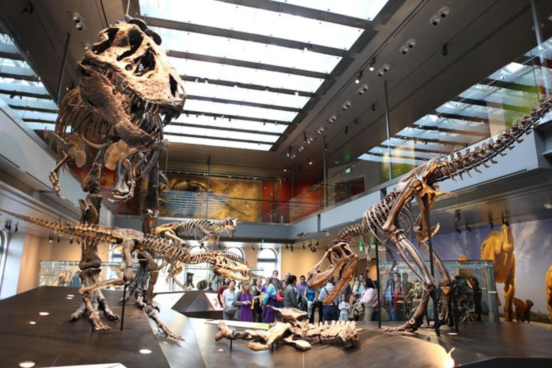 Natural History Museum Ticket in Los Angeles - Image 1