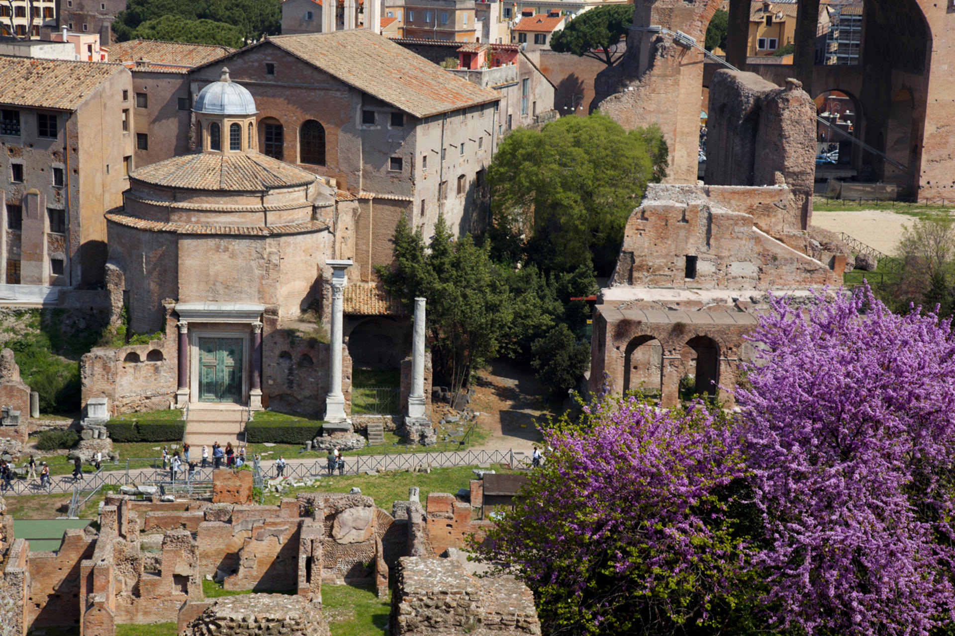 Ancient Rome Colosseum Walking Tour - Thumbnail 8