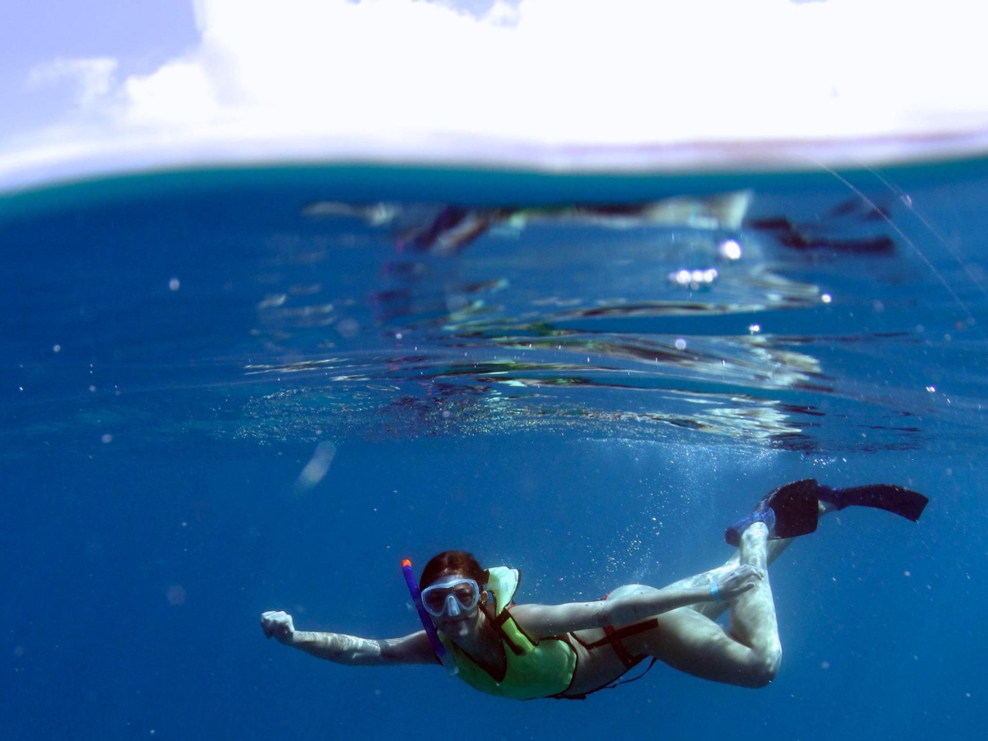 Luxury Morning Snorkel Cruise with Dolphin Watching in Oahu - Thumbnail 3