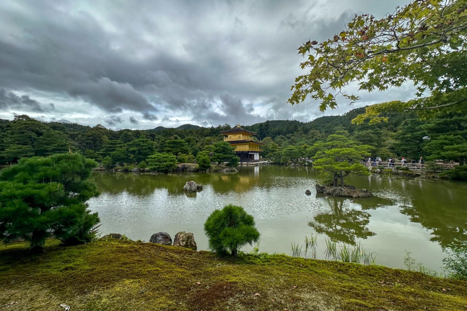 Kyoto: Nijo, Bamboo Grove, Golden Pavilion & Fushimi Inari Bus Tour - Thumbnail 6