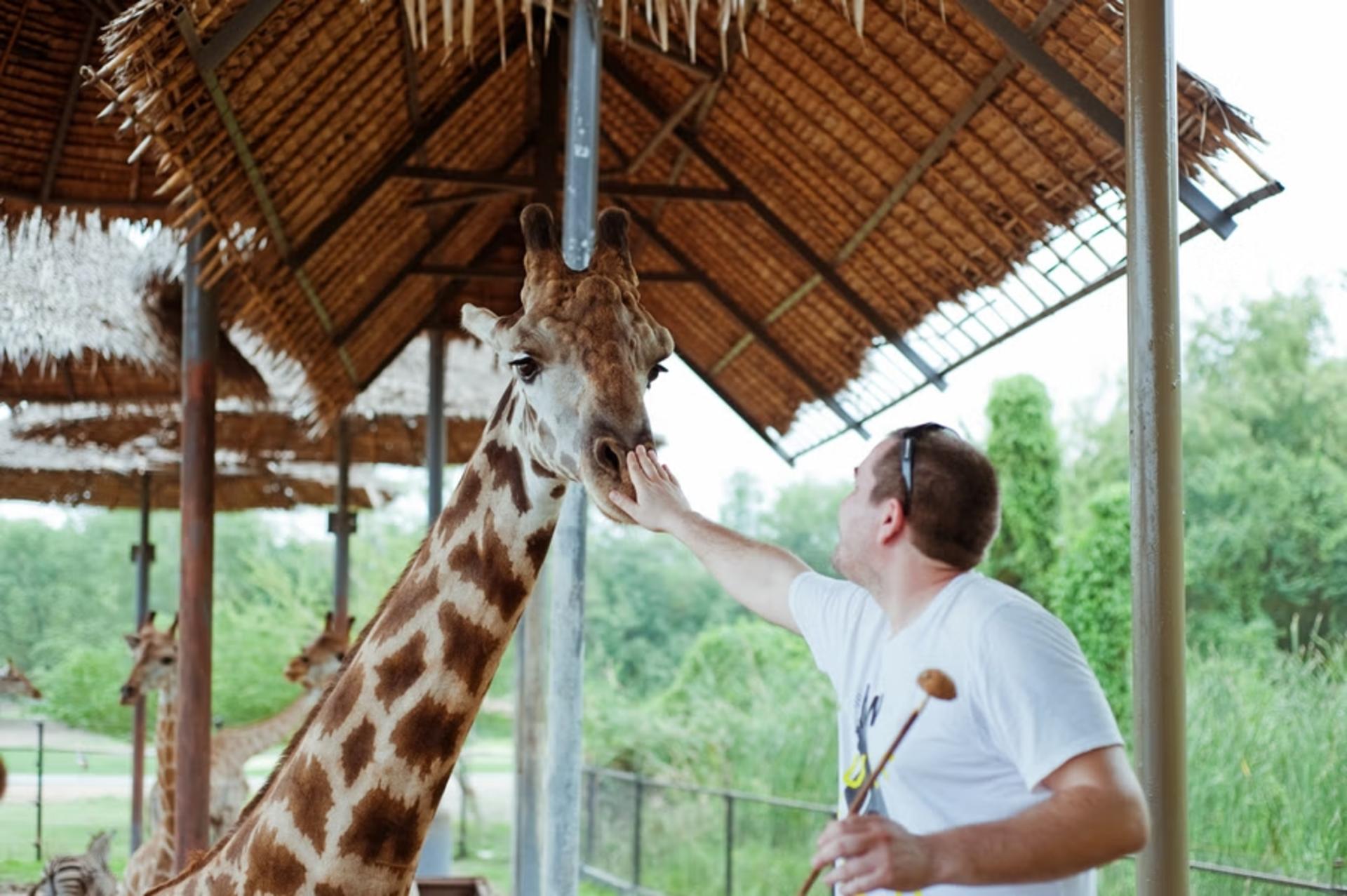 Bangkok Safari World Private One Day Tour by SST (from Bangkok) - Thumbnail 12