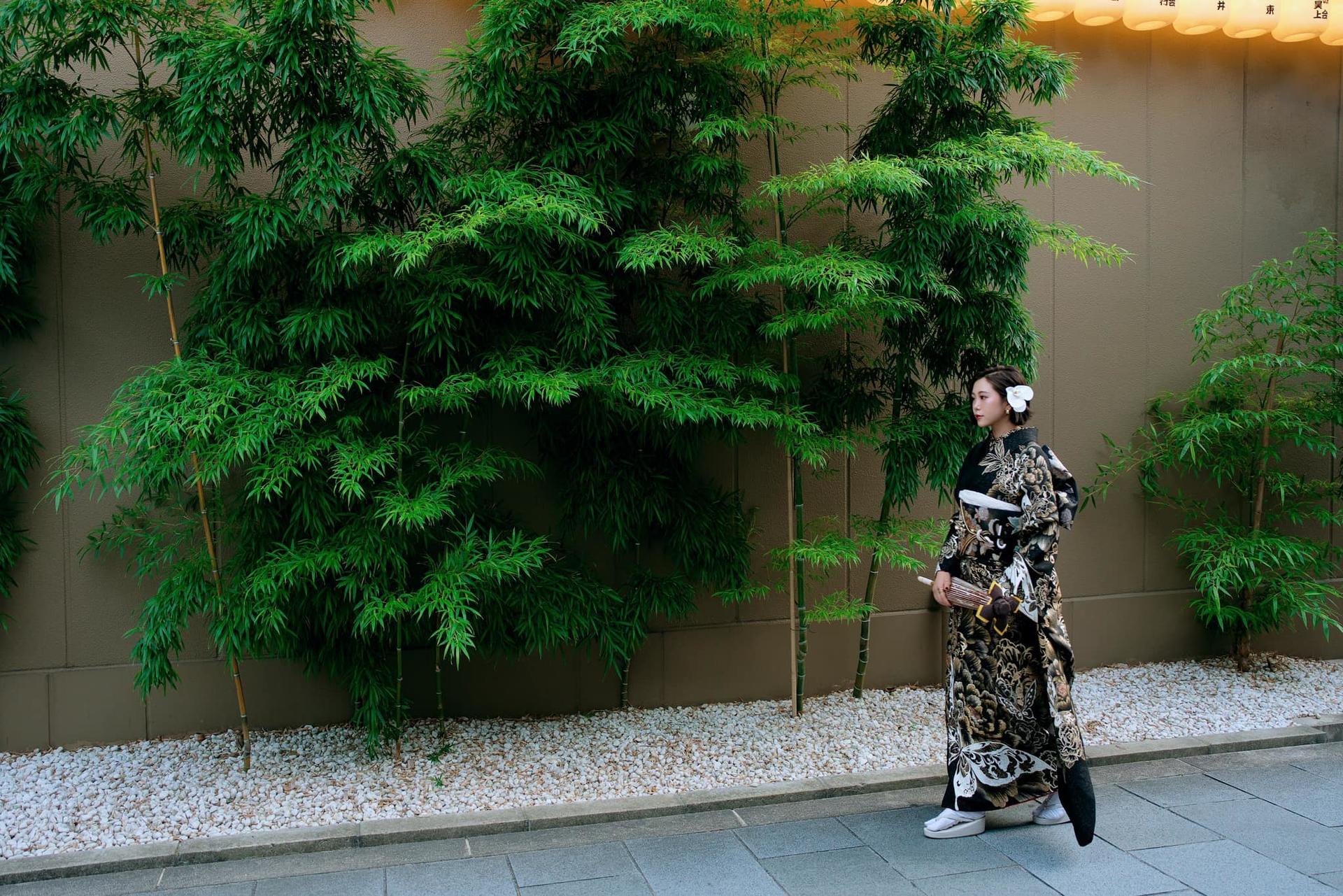 Kimono & Yukata Rental and Photo Shoot (Kyoto, Gion-Shijo, Yasaka Shrine) - Kimono Rental Misaki - Thumbnail 4
