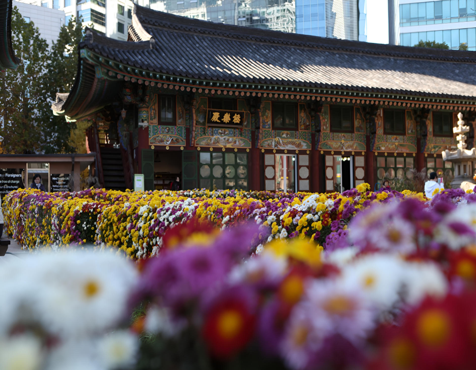 Roots of Seoul Walking tour: Jongmyo, Jogyesa & Gwangjang Market - Thumbnail 42