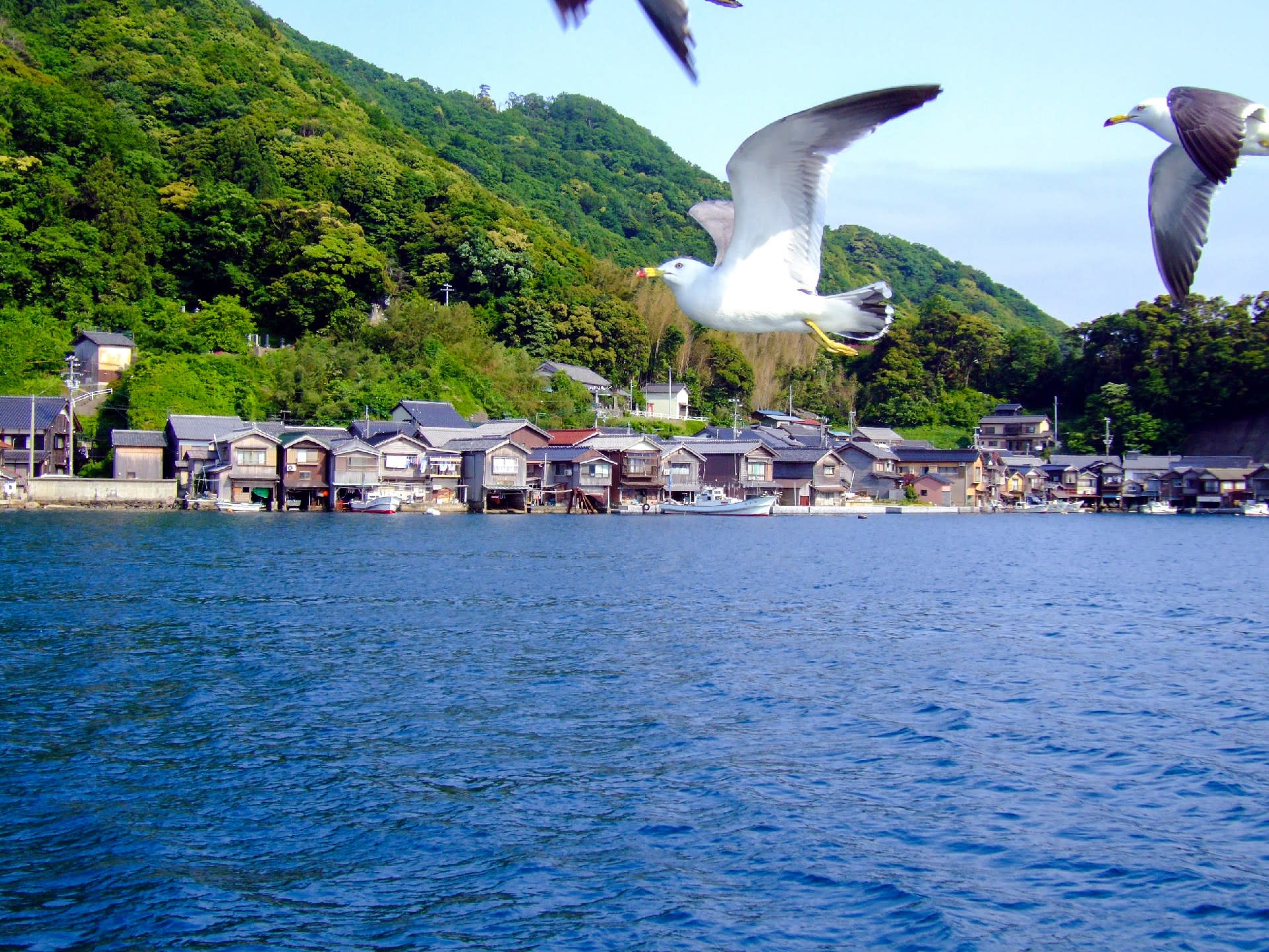 Day Trip to Amanohashidate & Ine no Funaya & Miyama Thatched Village in the Sea of Kyoto (Departure from Osaka or Kyoto) - Thumbnail 16