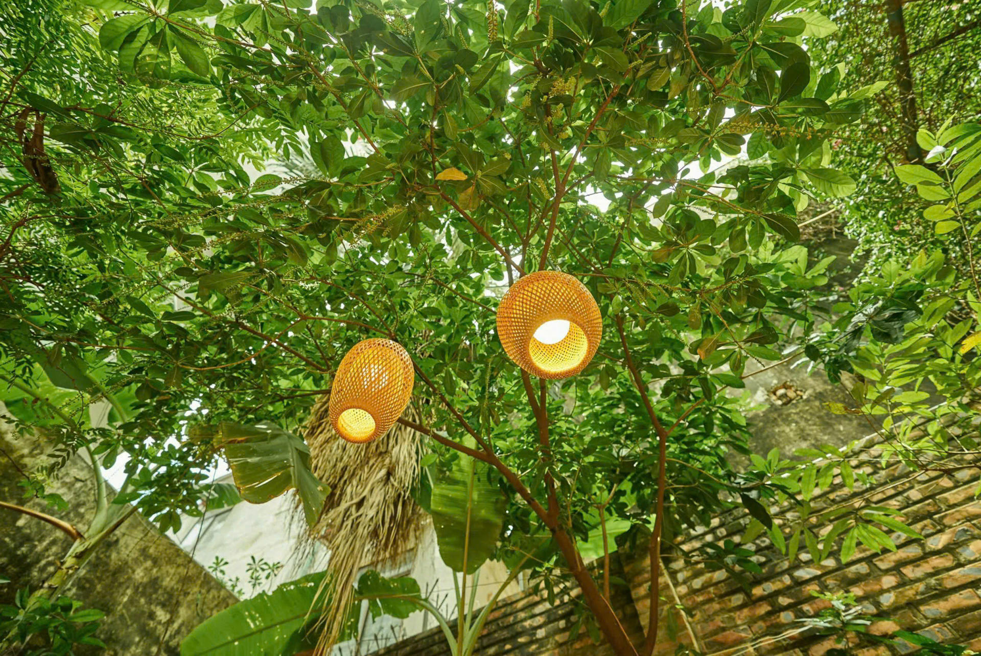 Hidden Gem Cooking Class in Hanoi: Cha Ca & Goi Cuon & Free Coffee - Thumbnail 12
