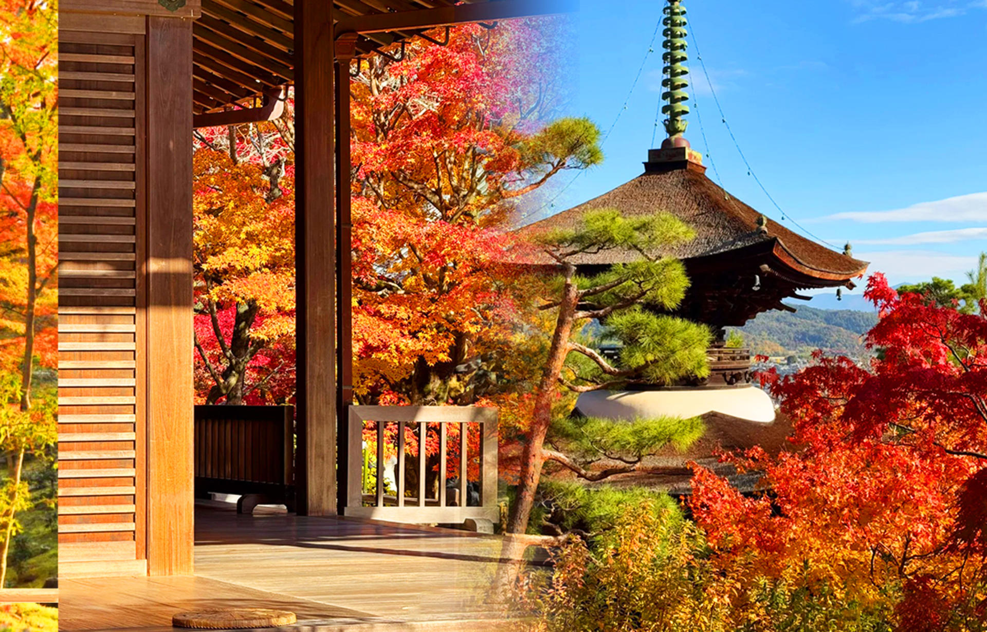 Kinkaku-ji Temple & Arashiyama Night Train Illuminations Autumn Foliage Viewing Day Tour - Thumbnail 11