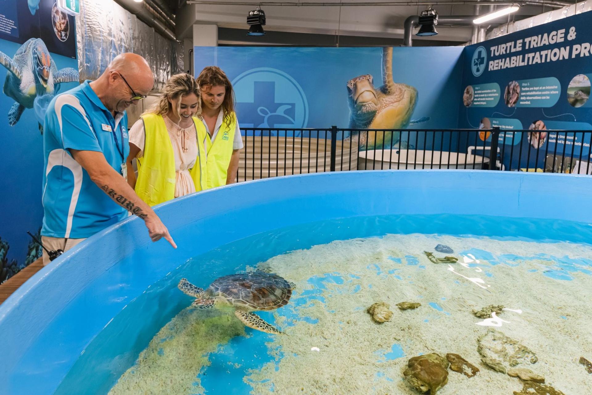 Marine Life Encounter Tour at Cairns Aquarium - Thumbnail 8