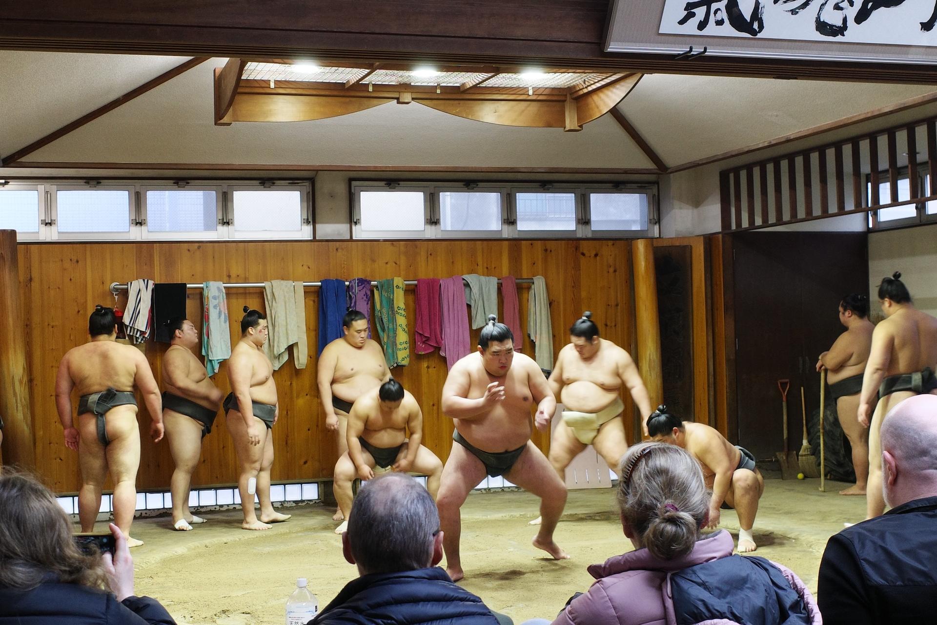 Authentic Tokyo Sumo Practice with Seat, Photos, and Audio Guide - Thumbnail 5