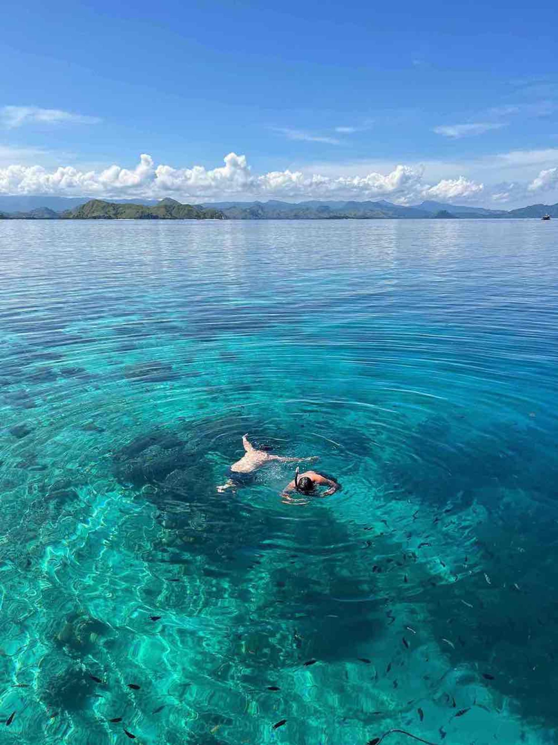 Full Day Speedboat Tour from Labuan Bajo - Thumbnail 11