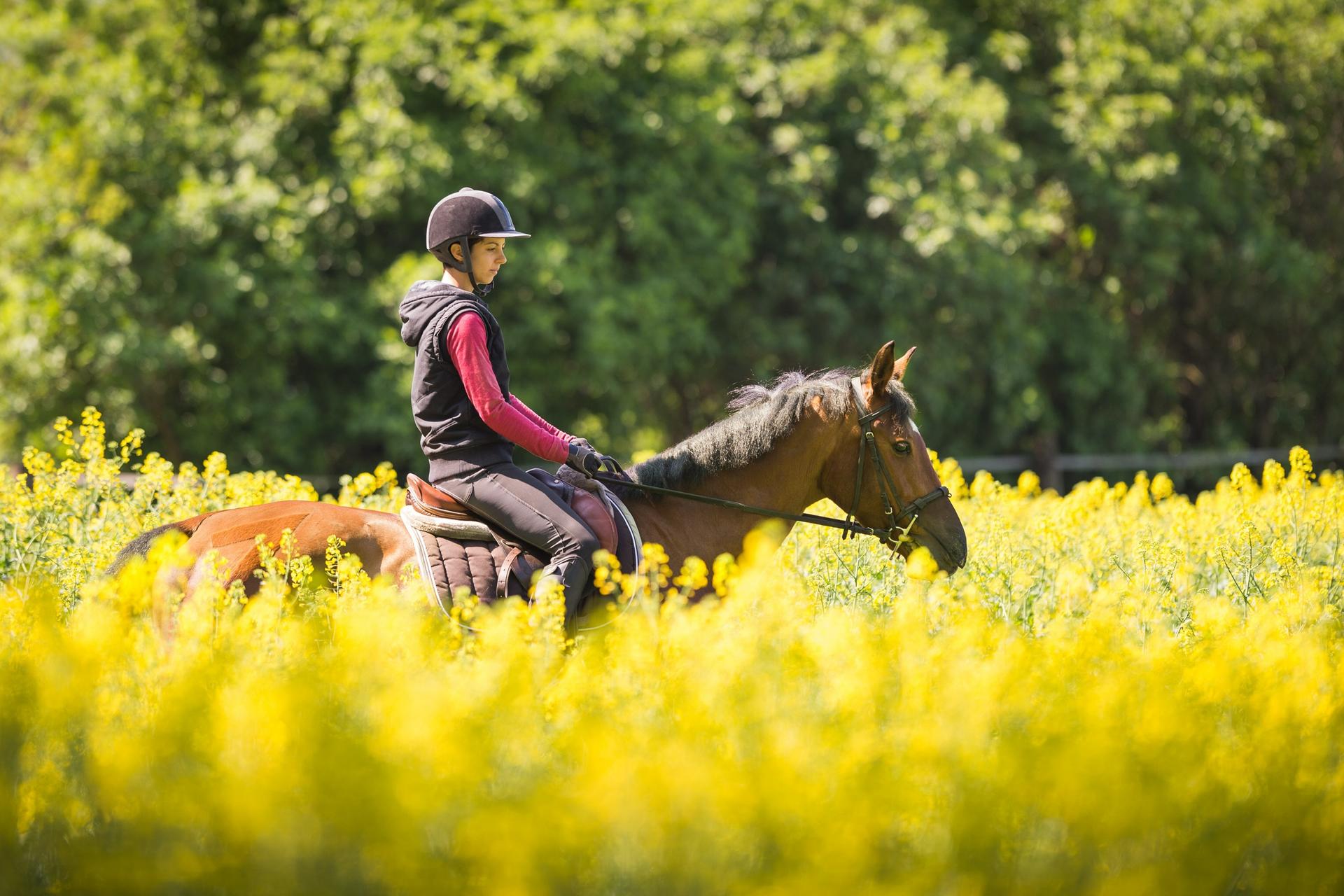 Horseback Riding Experience in Marmaris National Park - Image 1