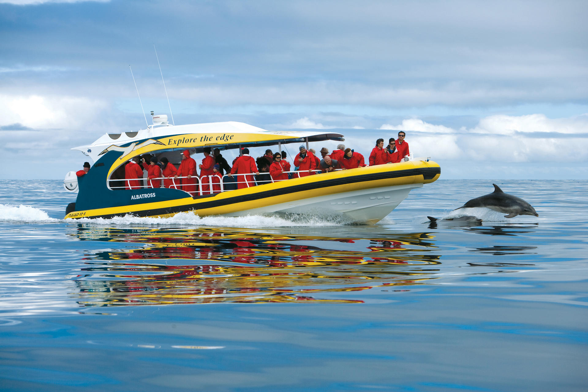 Tasman Island Cruises Full Day Tour from Hobart - Thumbnail 2