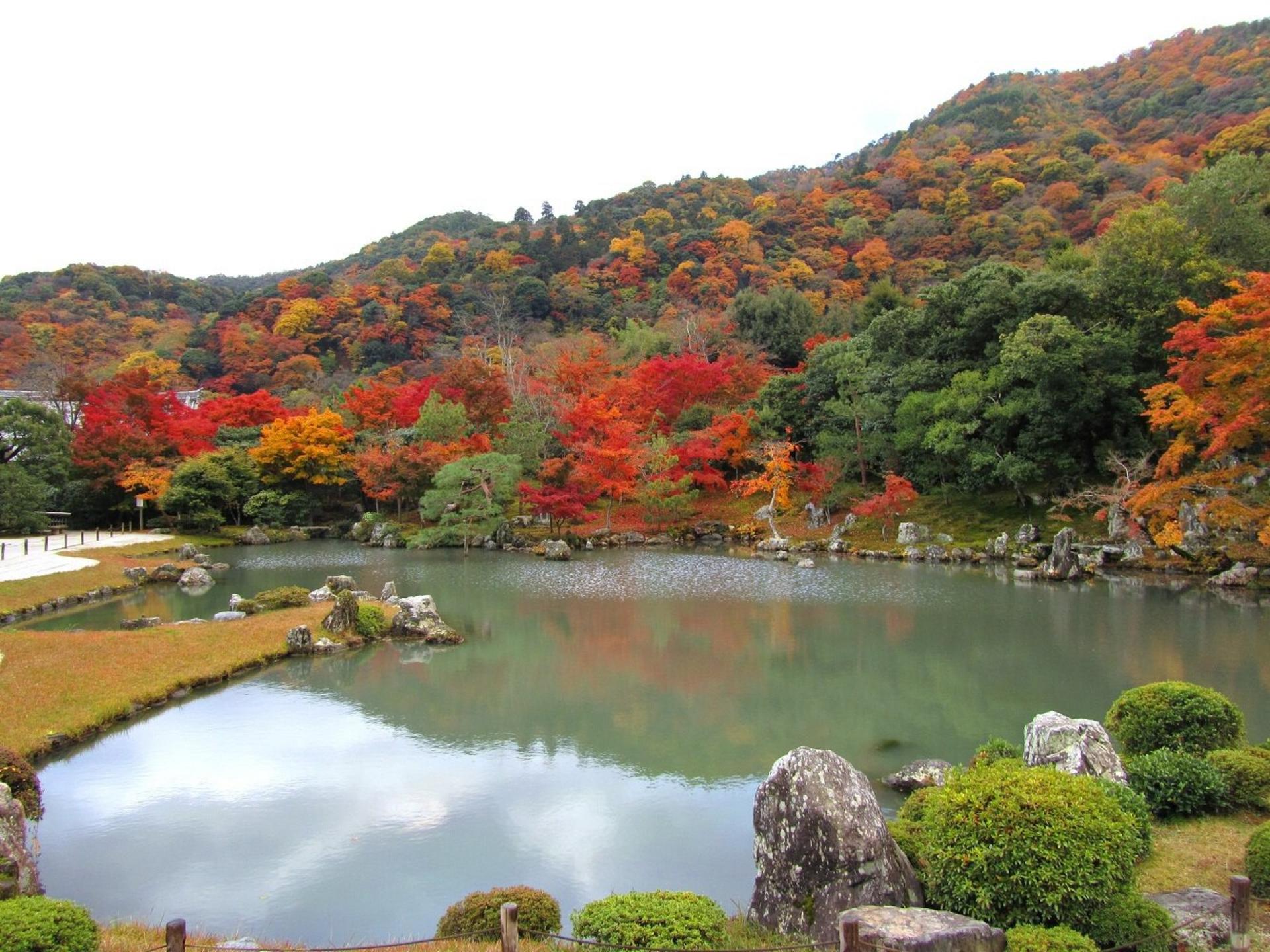 Half-day private tour of Arashiyama Monkey Park and Arashiyama's famous spots - Thumbnail 4