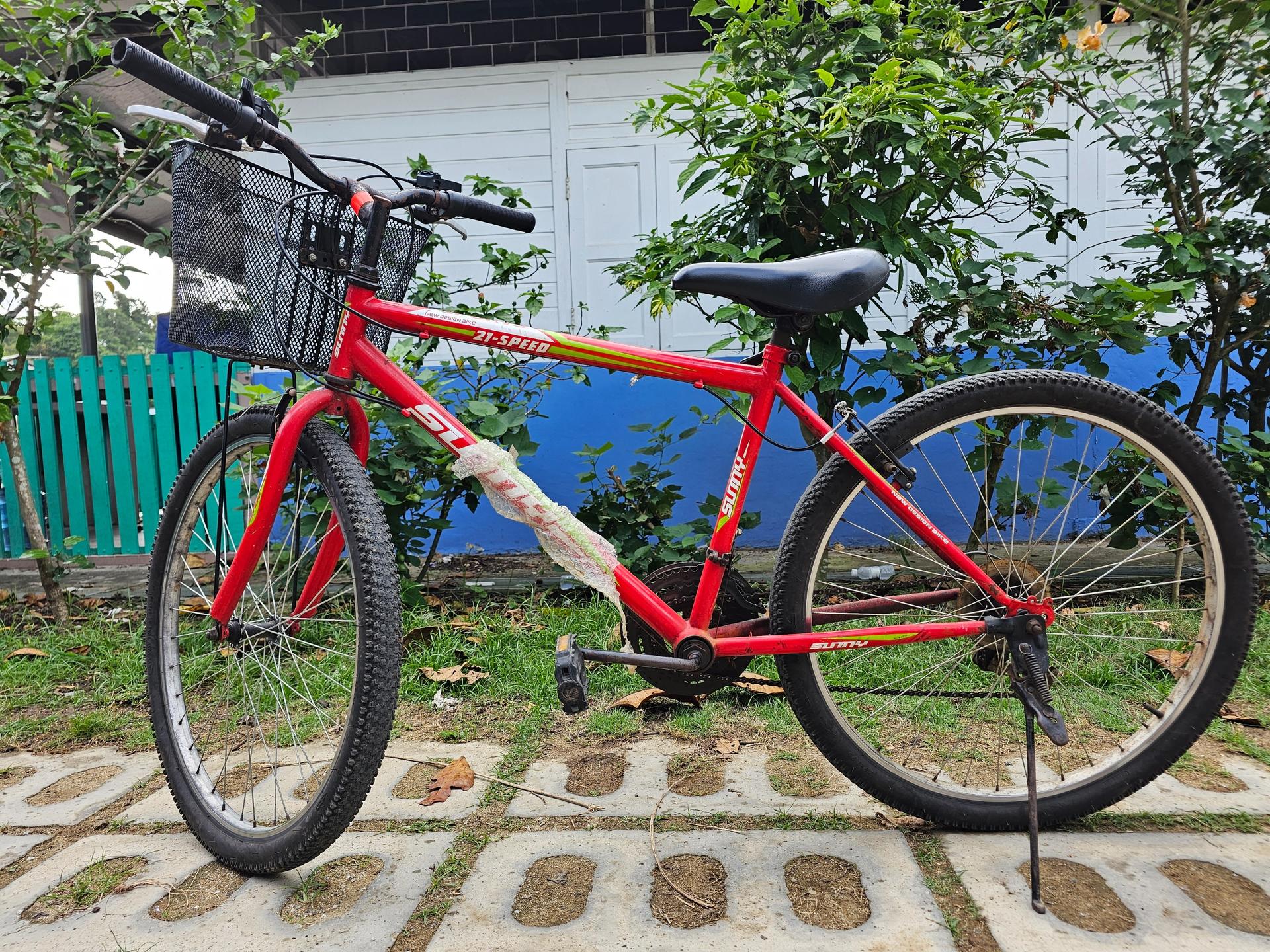 Bicycle Rental at Pulau Ubin - Thumbnail 3