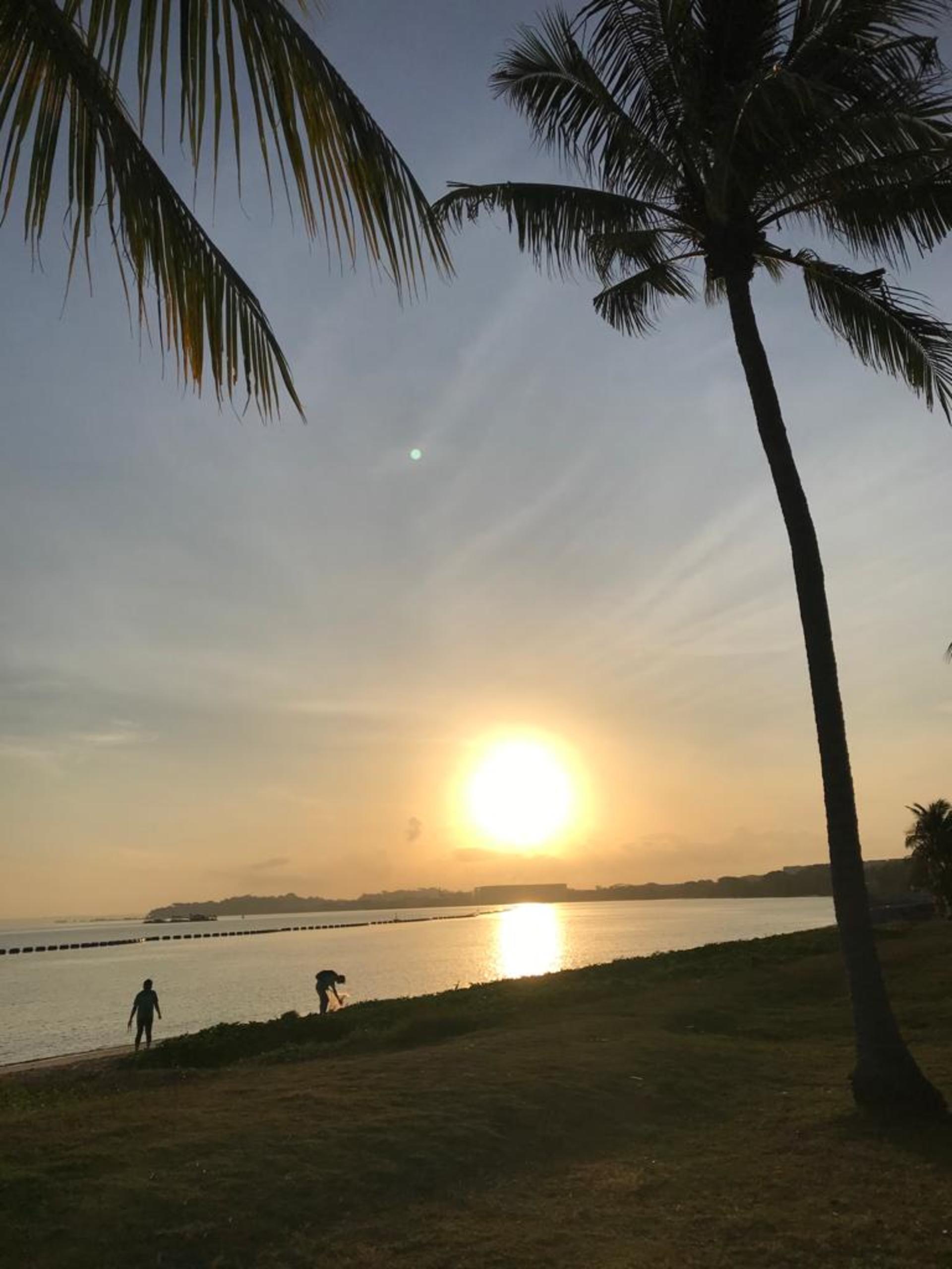 Traditional Nasi Lemak Cooking Class & History By the Beach!  - Thumbnail 5