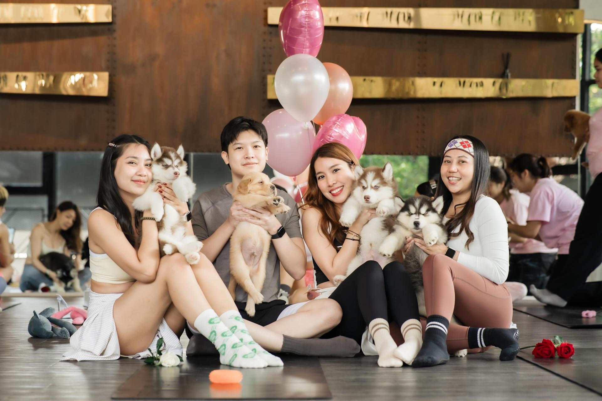 Puppy & Kitten Yoga Therapy with Photo Experience in Bangkok - Thumbnail 41