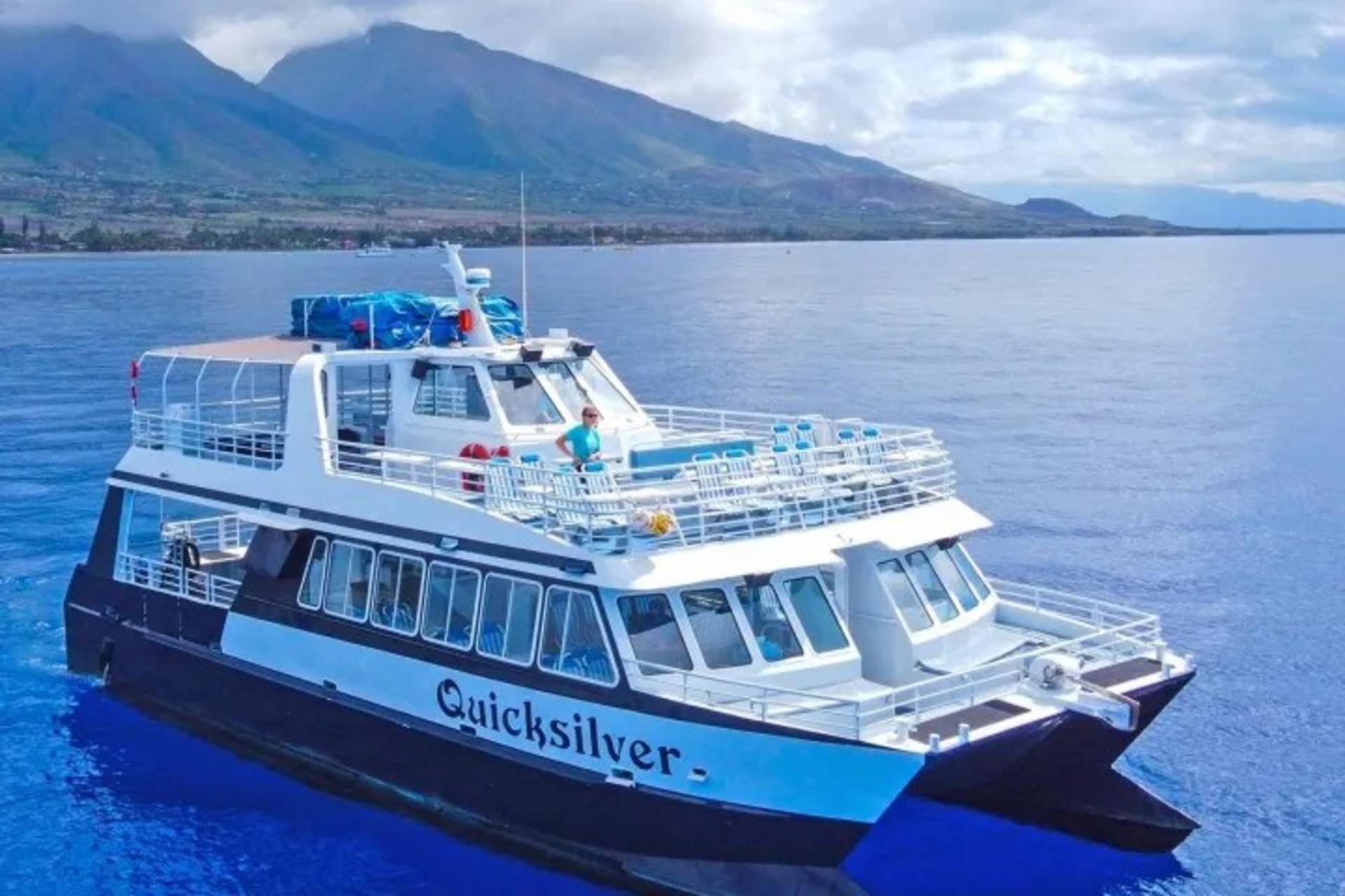 Whale Watching Cruise Experience in Maui by Quicksilver - Thumbnail 2