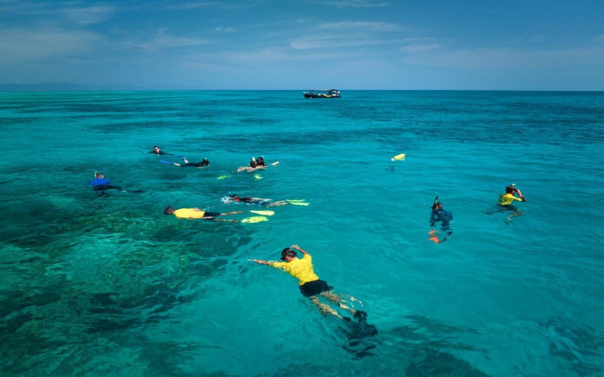Half Day Reef Adventure to Upolu Reef - Thumbnail 6