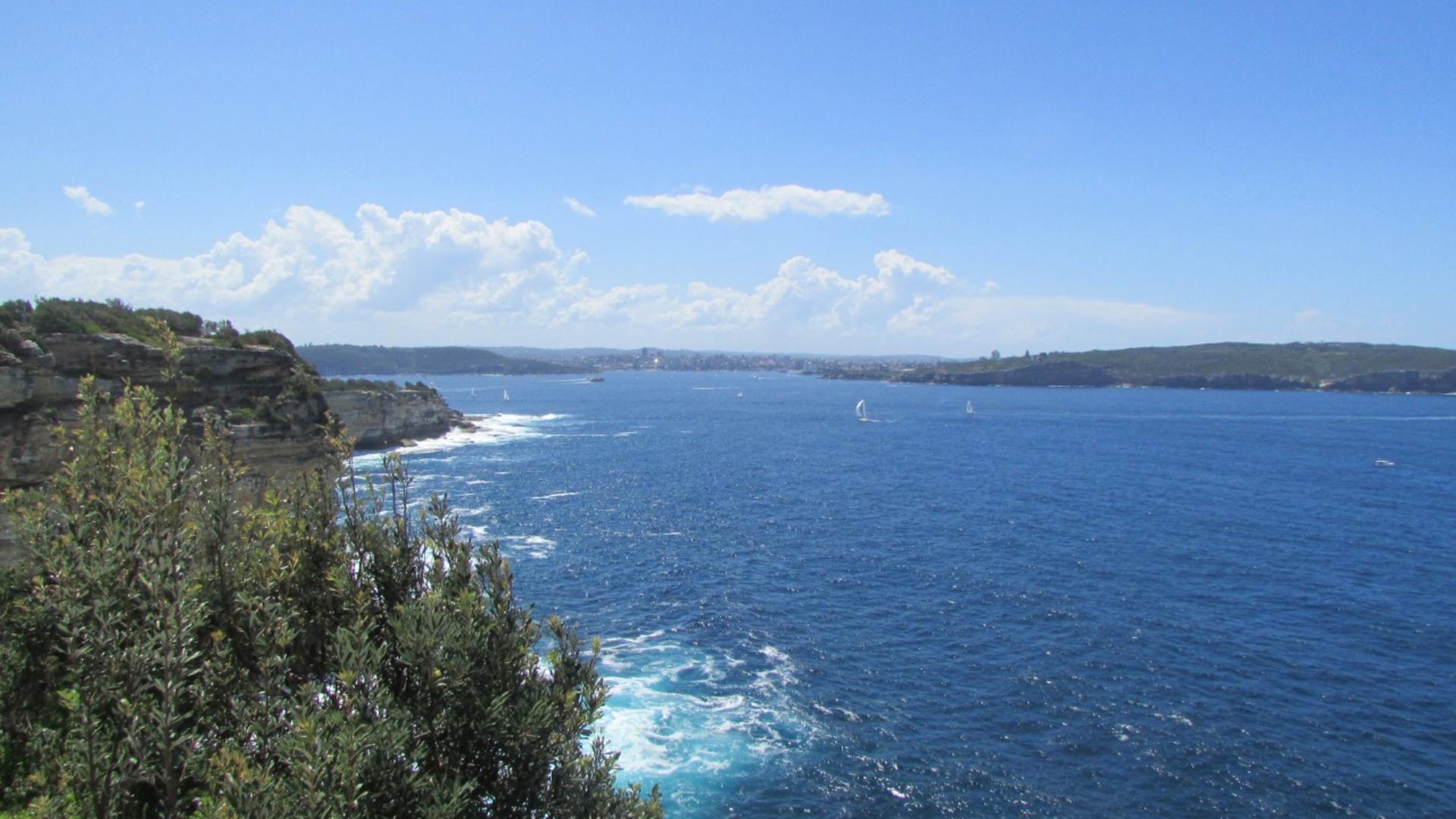 Watsons Bay walking tour from Sydney - Thumbnail 5