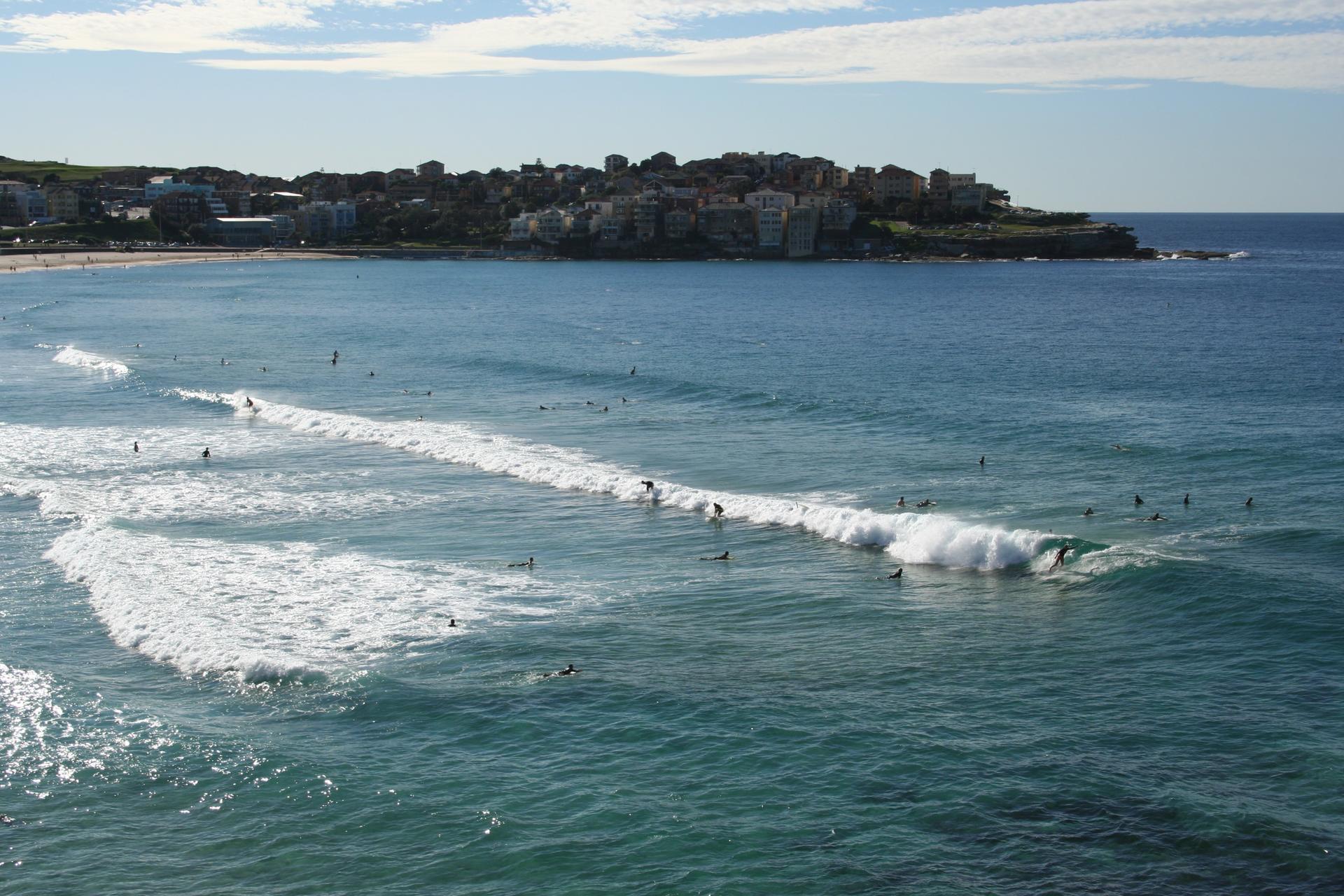 Bondi Guided Beach & Coastal Walking Tour - Thumbnail 4