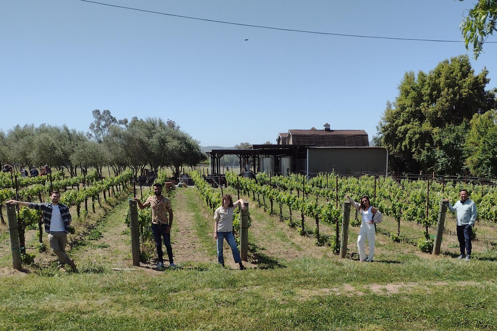 Small Group Sonoma Wine Country Tour from San Francisco - Thumbnail 8