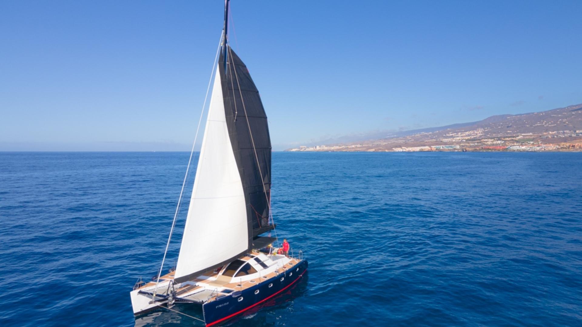 Whale and dolphin watching catamaran experience in Costa Adeje - Thumbnail 8
