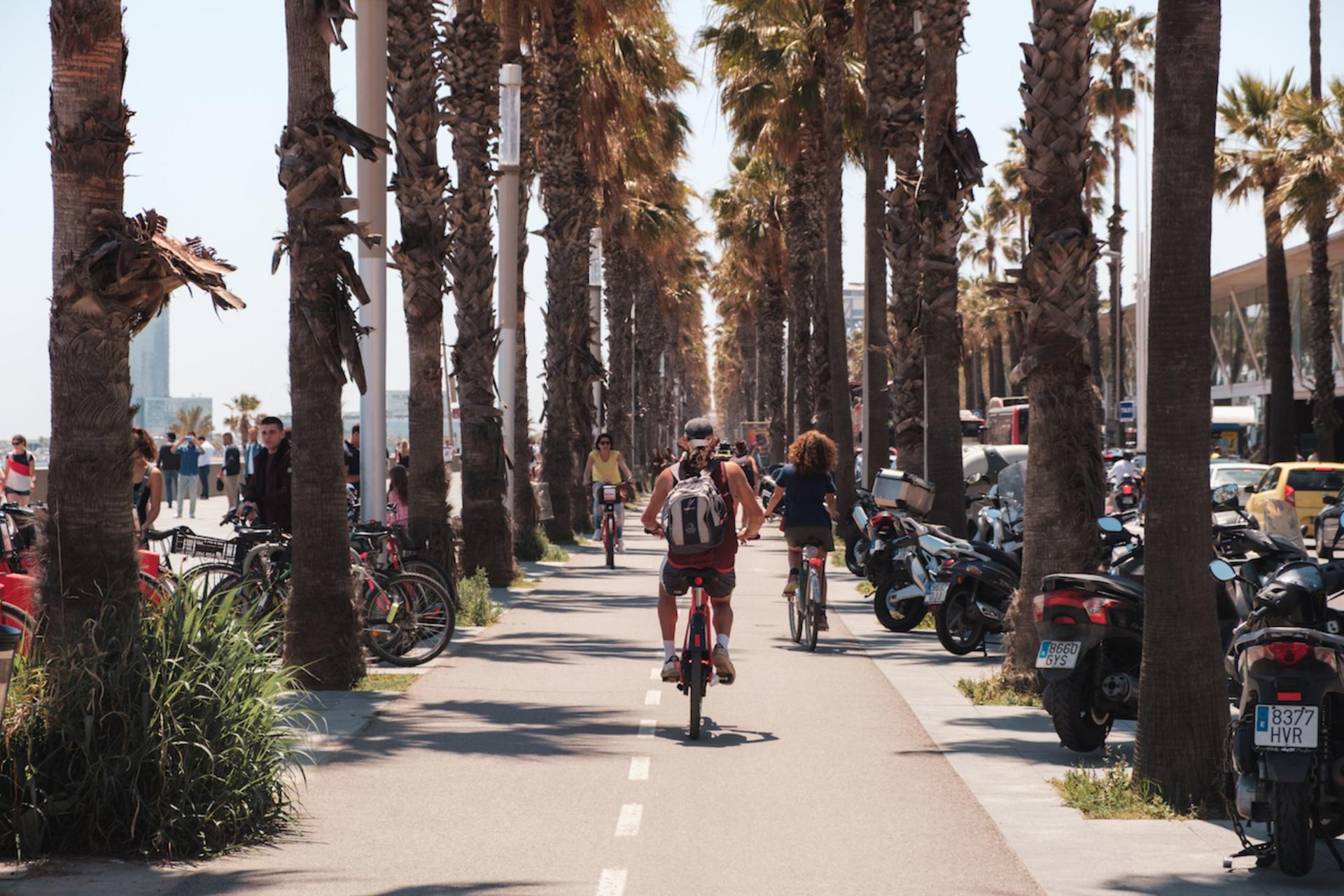 Highlights and hidden gems of the city bike tour in Barcelona - Image 1