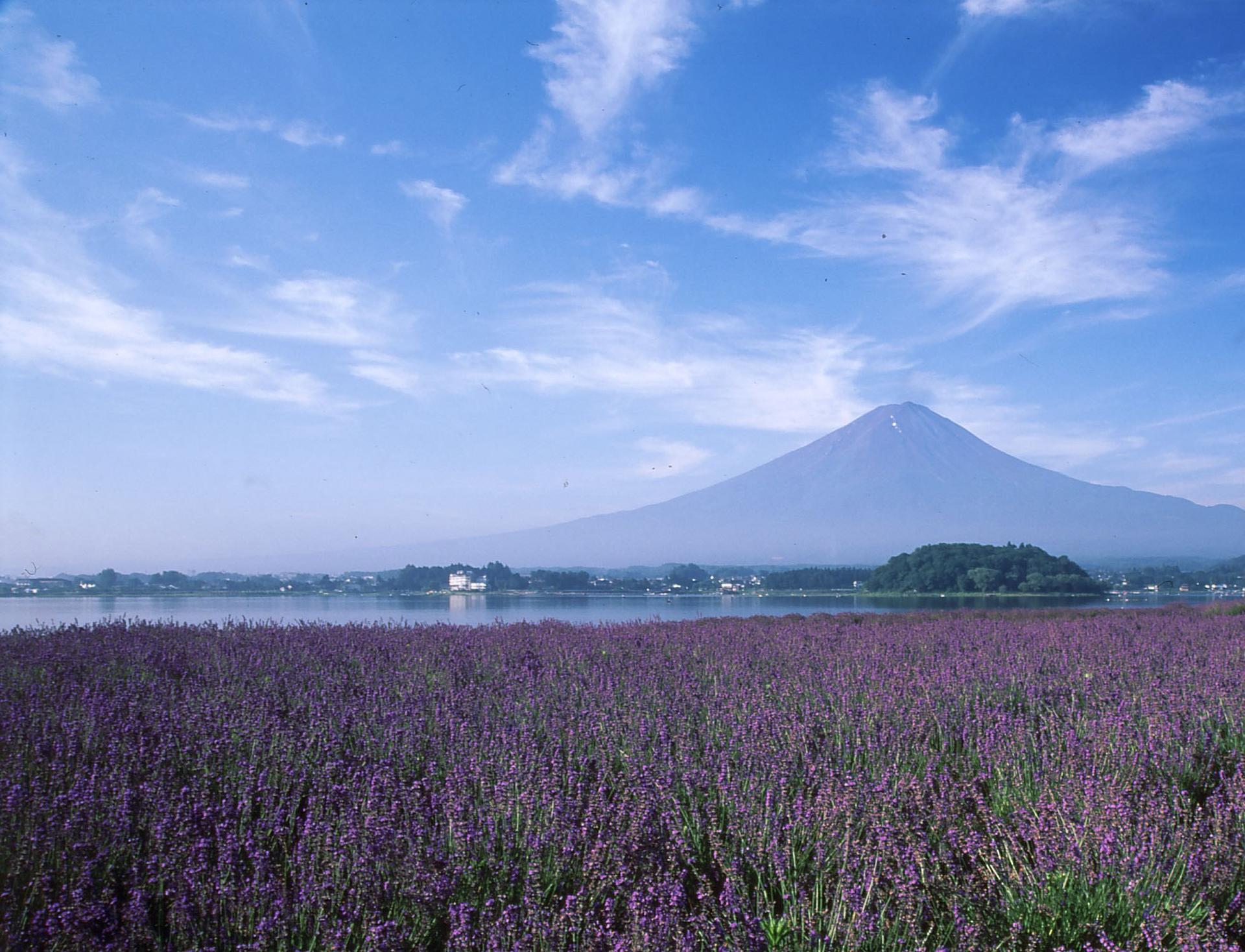 Fuji-Hakone Pass Voucher - Thumbnail 2