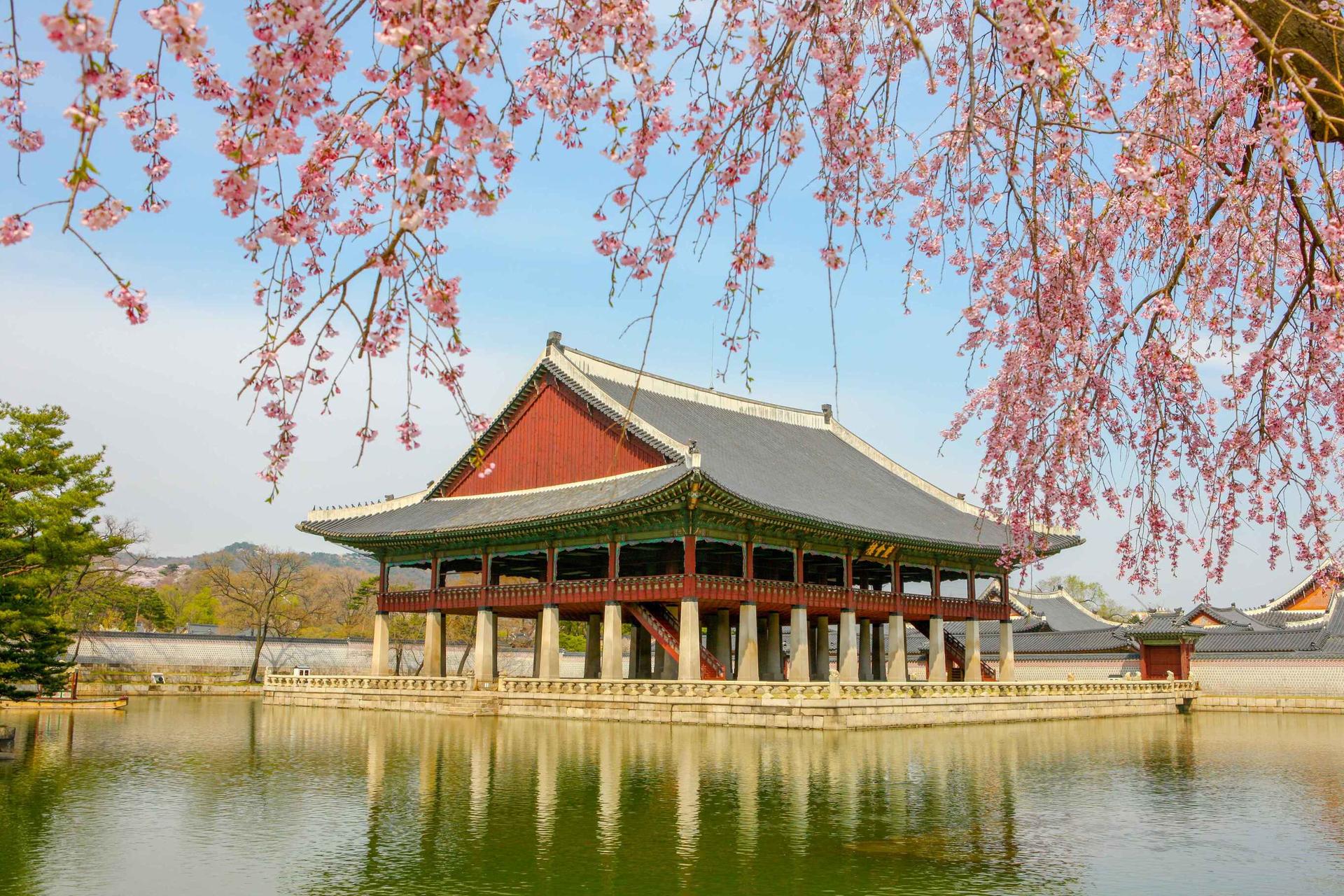 Seoul City Highlights Private Tour with Pickup and Drop-off - Thumbnail 5
