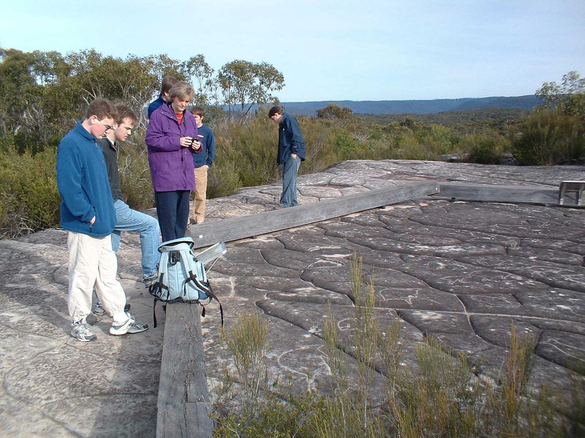 Sydney Northern Wilderness and Coastal Tour - Image 1