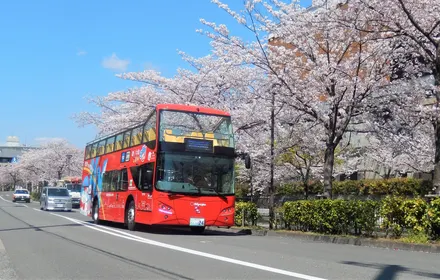 Kyoto Hop On Hop Off Sightseeing