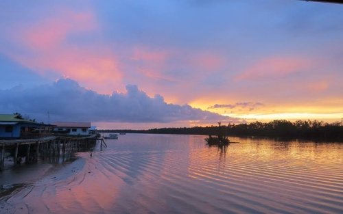 Weston Wetlands Monkey, Sunset & Fireflies Cruise