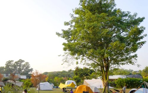 森之谷 汽車露營/露營